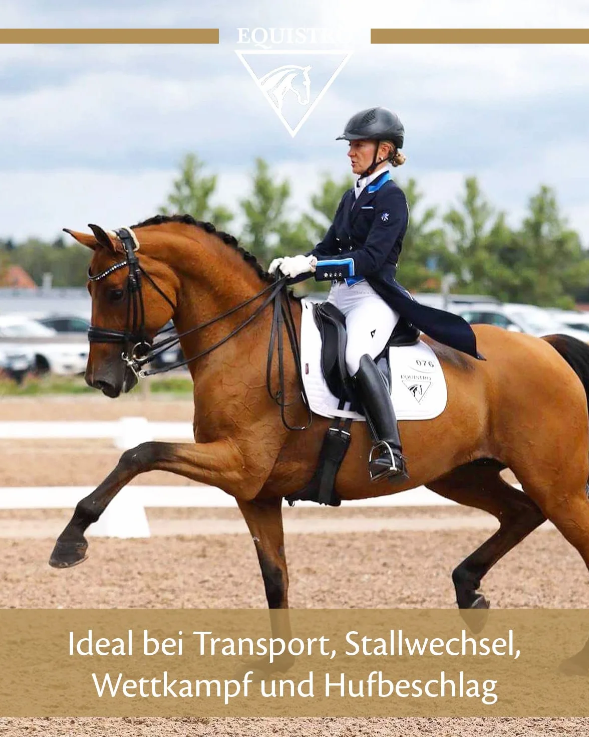 EQUISTRO® Equiliser - Complément Alimentaire pour Chevaux avec magnésium hautement concentré - Peut réduire Les comportements indésirables - en Cas de Signes d'hyperirritation - Qualité supérieure -
