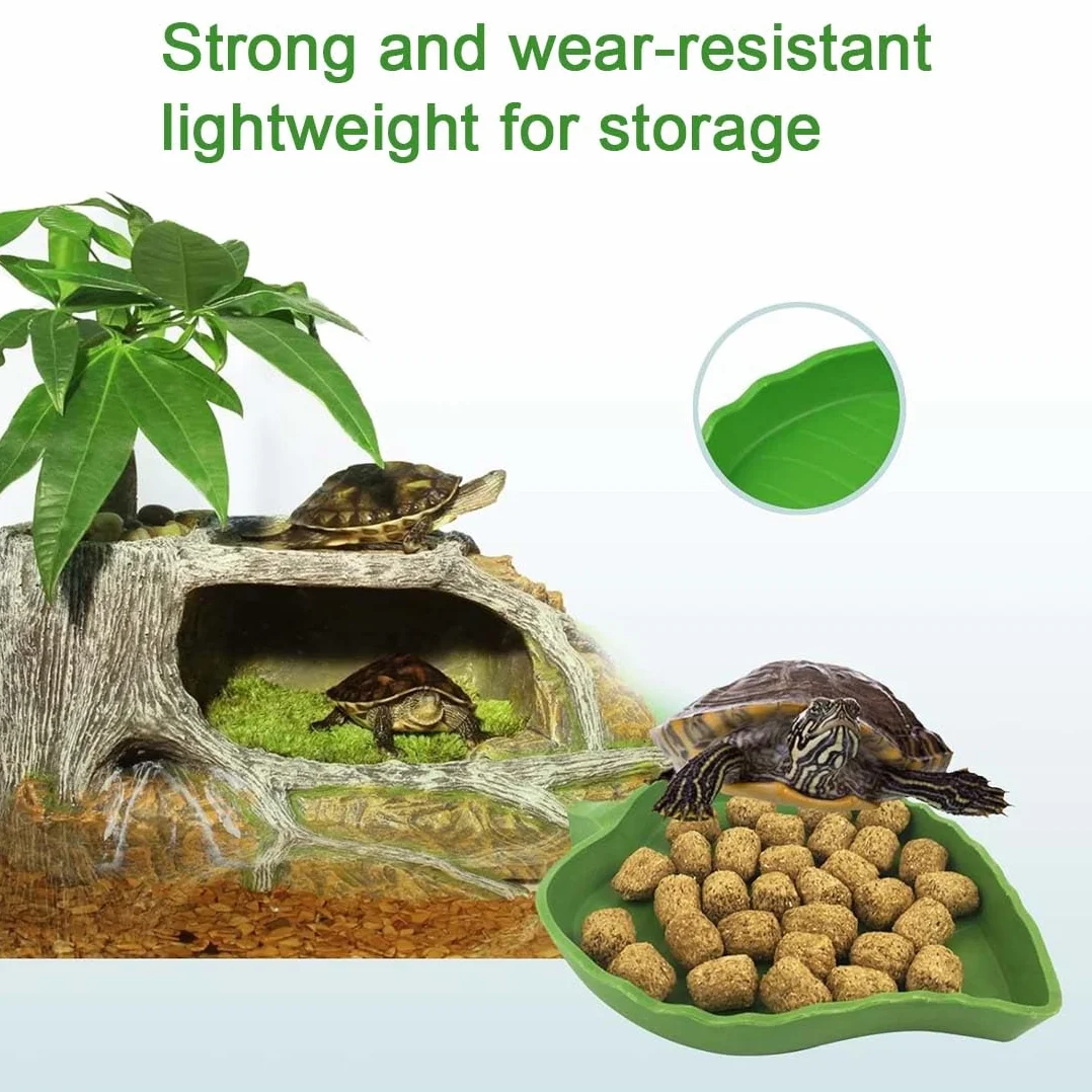 Bol D'Alimentation Pour Reptiles pour Tortues Lézards - Bol à Boire D'Eau en Feuilles