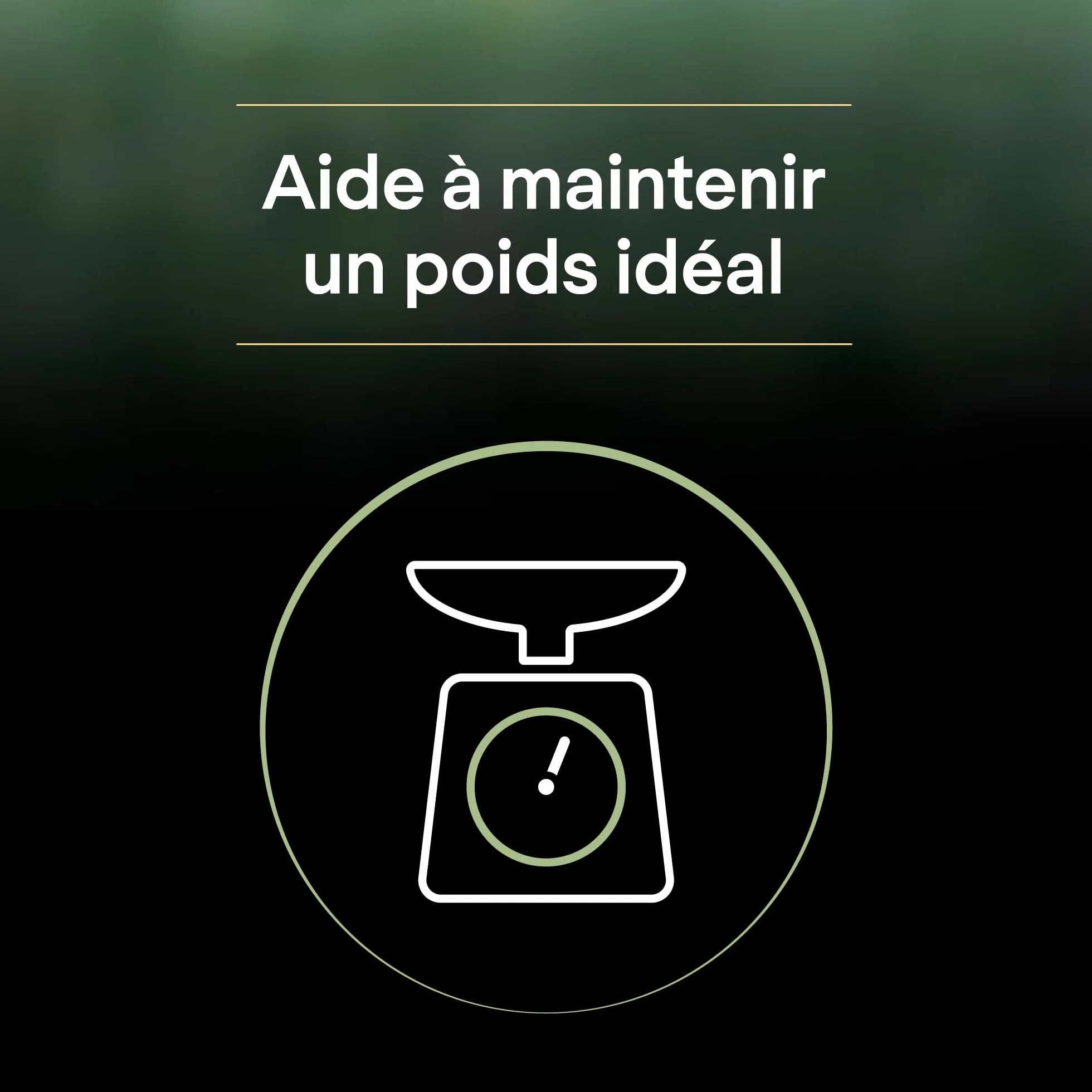PRO PLAN LIVECLEAR Adulte Stérilisé Saumon 1,4kg