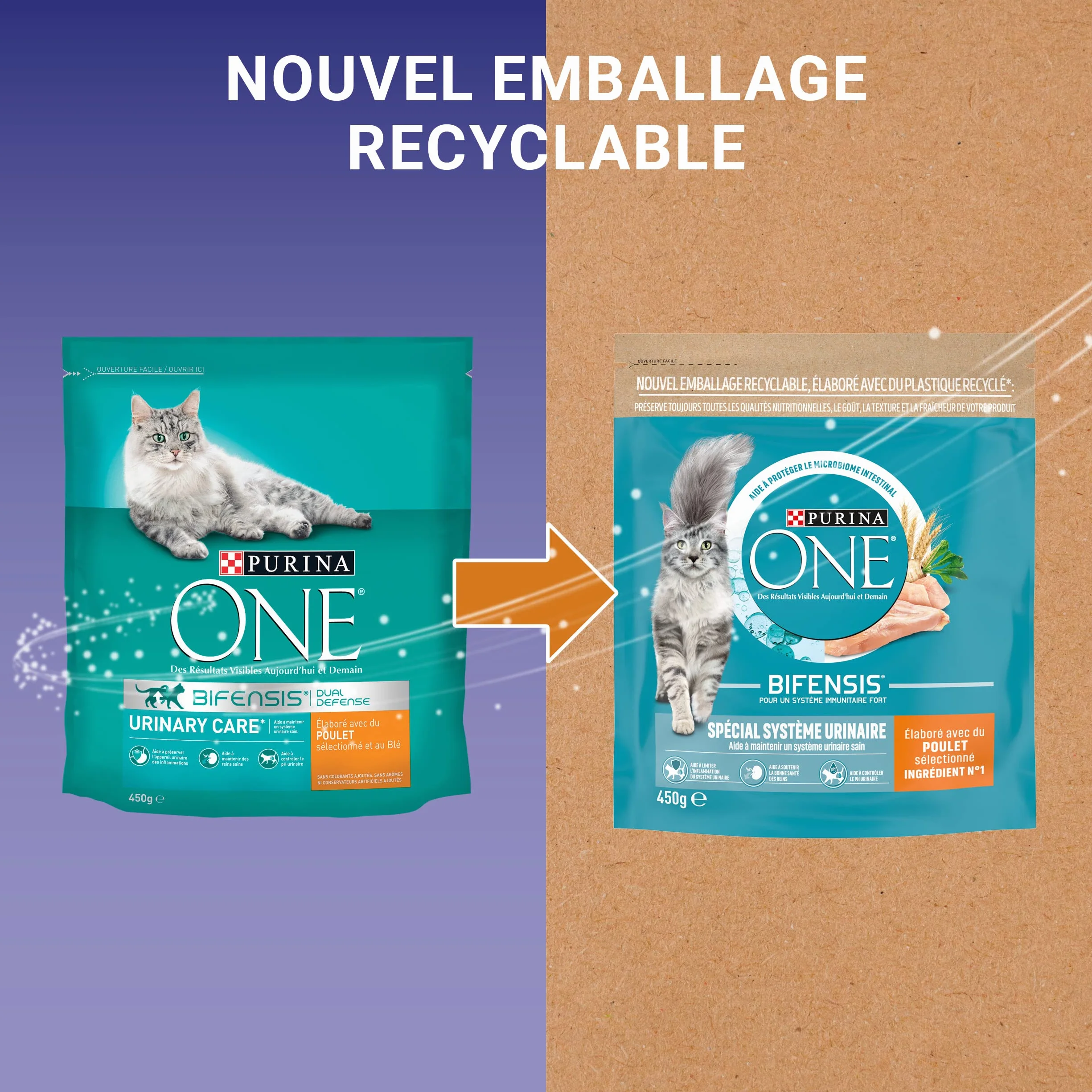 PURINA ONE BIFENSIS Croquettes Chat Adulte Spécial Système Urinaire au Poulet Lot de 10 x 450g