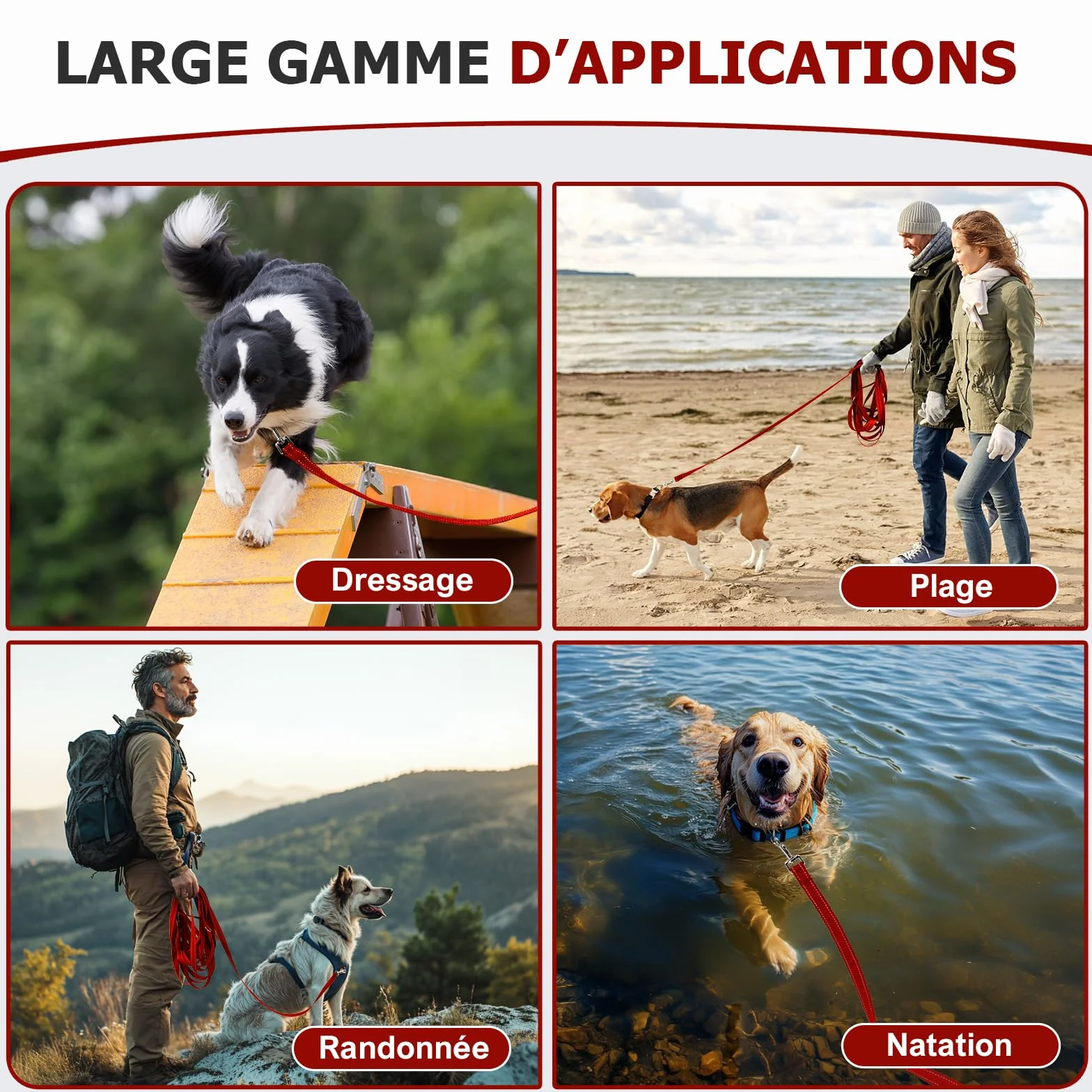 Longe Réfléchissante pour Chien 5m Rouge avec Mousqueton Solide