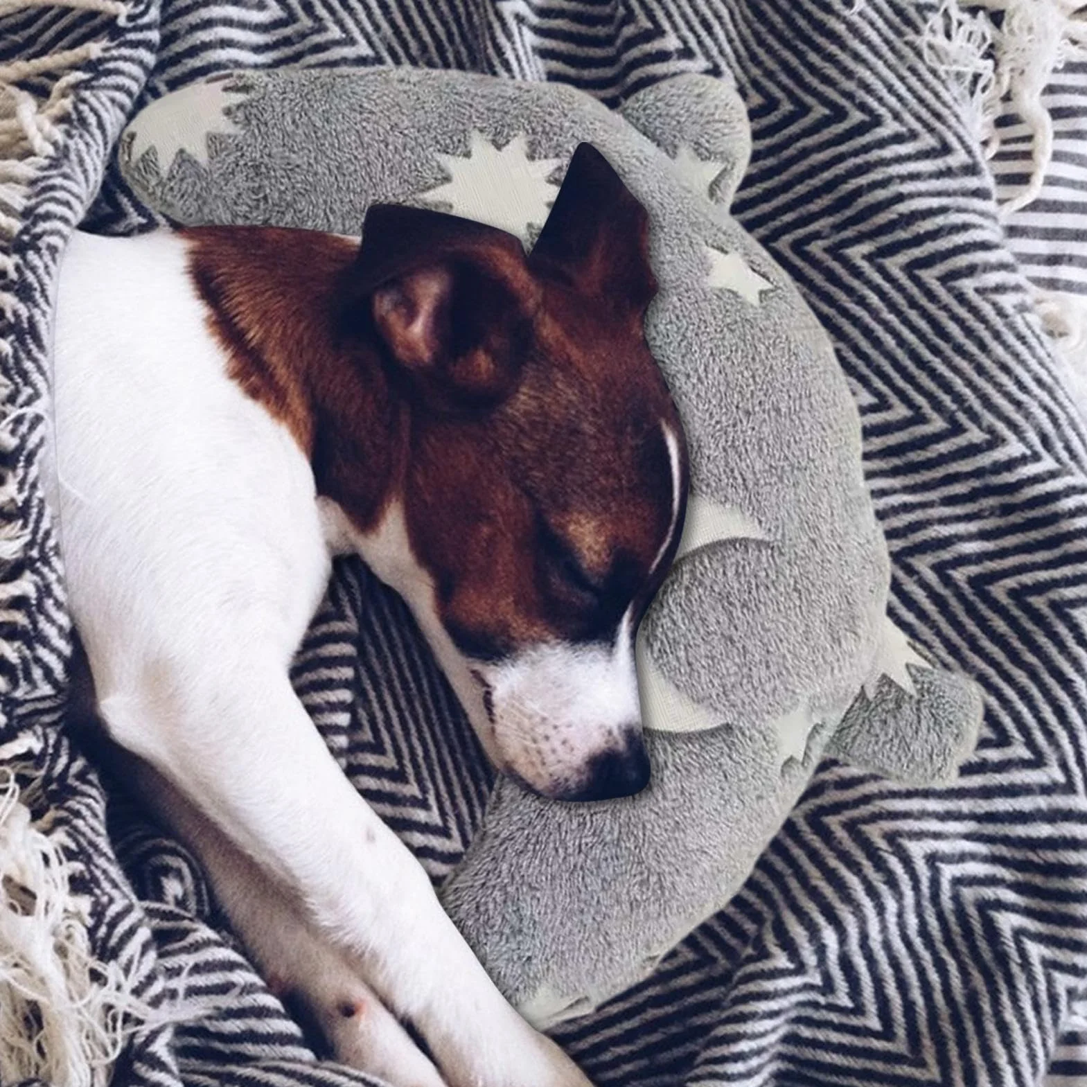 Coussin apaisant pour Chien, Design Moelleux, Anti-Stress, Rembourrage en Peluche