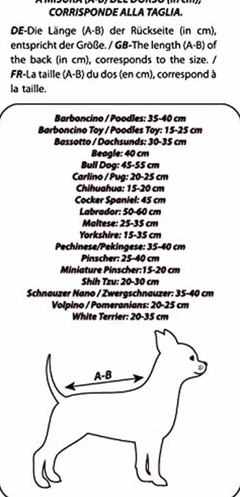 CROCI Mannequin Forme Chien pour Chien