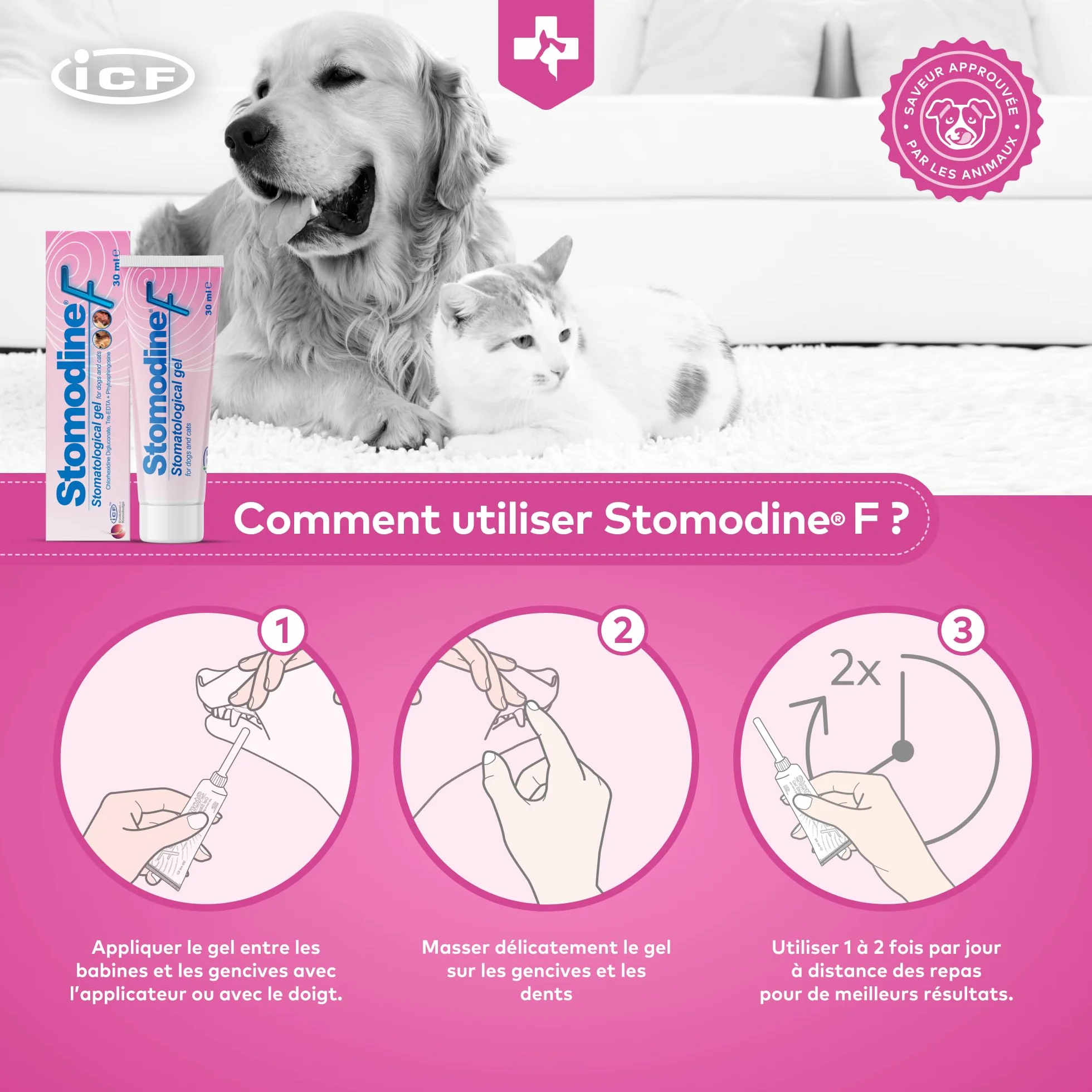 ICF Stomodine F Gel Appétent Hygiène Buccale Chiens Chats 30ml