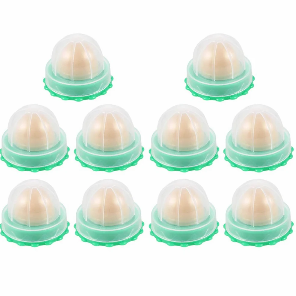 POPETPOP Sucettes à l'herbe à Chat 10 Pièces pour Chat Vert, Friandises Vitaminées Naturelles pour Augmenter L'hydratation et Améliorer Problèmes Urinaires