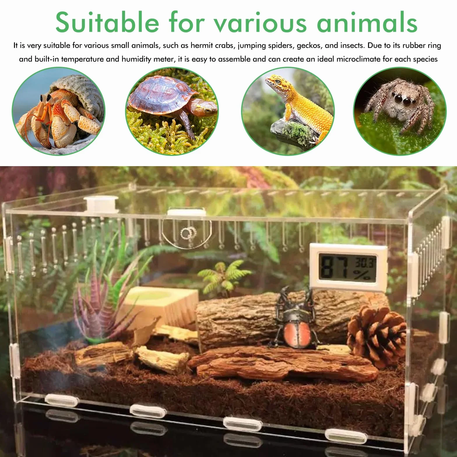 Terrarium acrylique 30x20x15 cm transparent pour escargots insectes araignées gecko