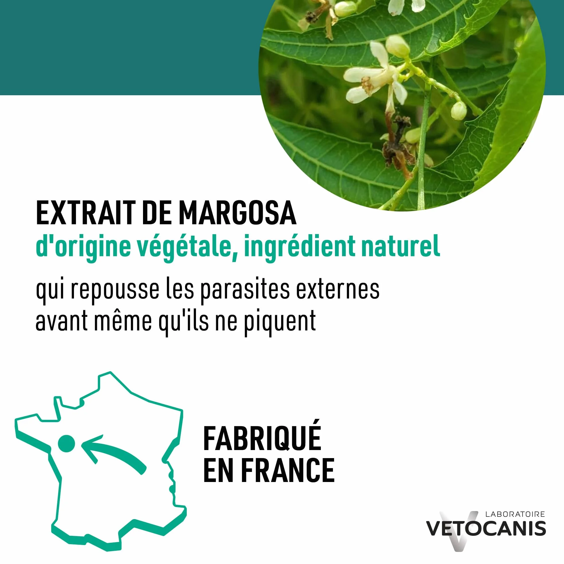 Vetocanis - Shampoing pour Chien - Anti-puces et Anti-tiques- Convient à tous types de Poils - A l'extrait de Plantes - Effet Répulsif - Sans Parabène ni Silicone - 300 ml