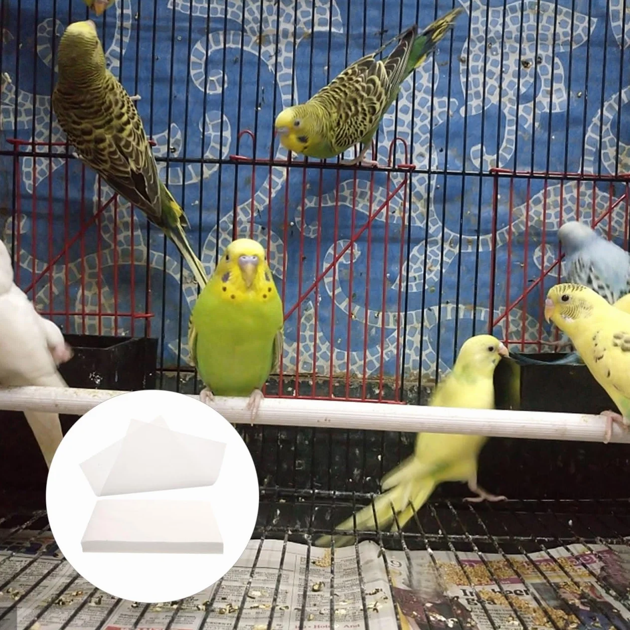 Doublure De Cage Oiseau Absorbante Non Tissé 13.78x9.84In Jetable Tapis Hygiénique pour Perroquet
