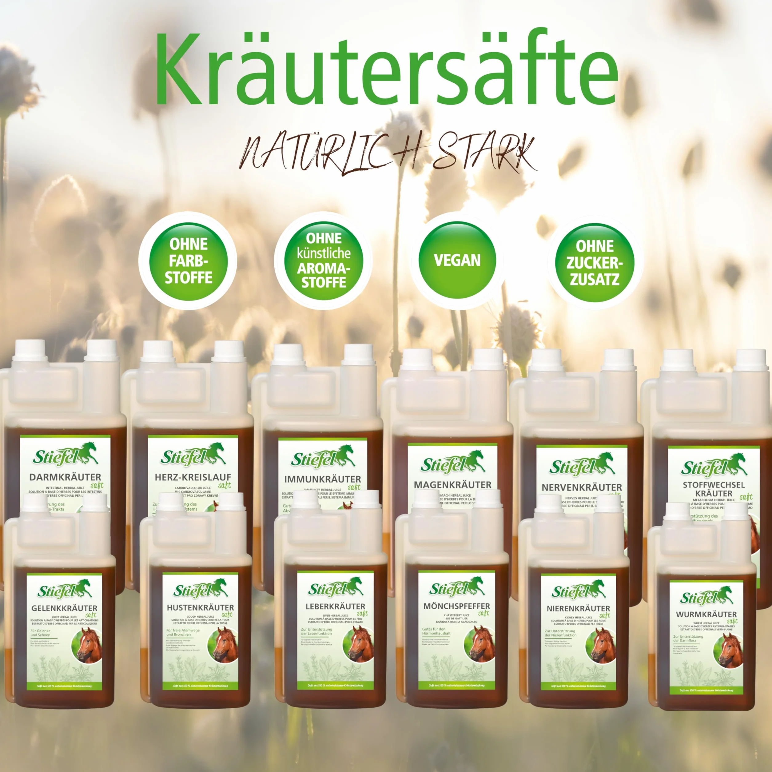 Stiefel Immunity Herbal Juice 1 l