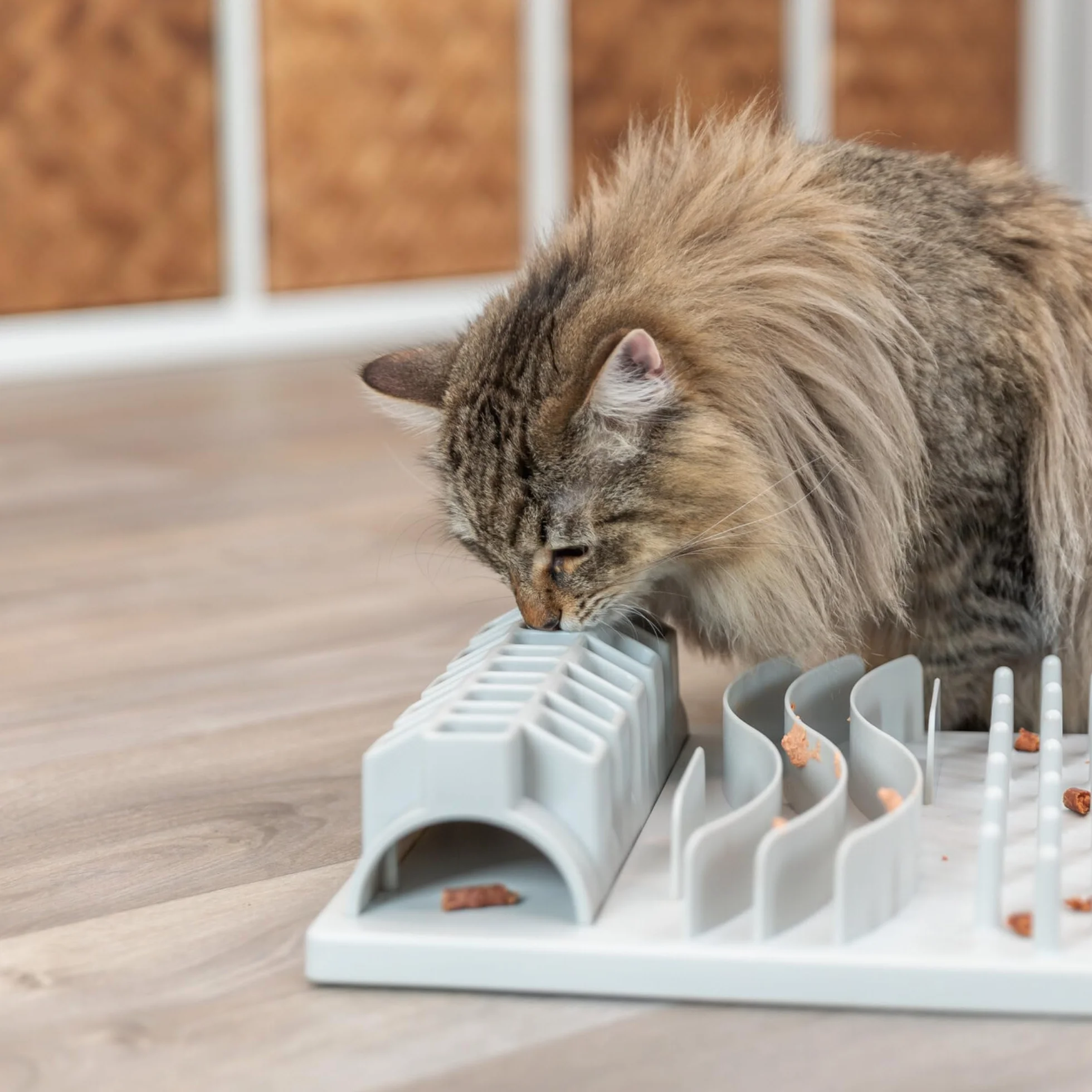 TRIXIE Cat Activity Fun Board – Jouet d'intelligence interactif pour chat – 30 × 40 cm