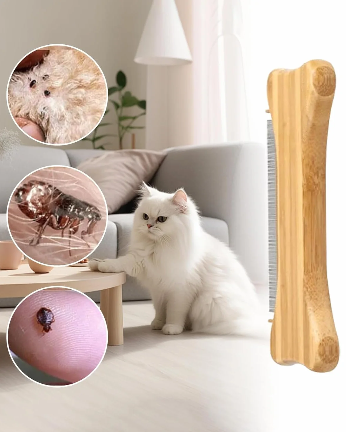 1 pièce Peigne à puces en forme d'os,manche en bois,peigne à puces pour chiens à poils courts,peigne de soins pour animaux de compagnie,élimine les puces et les tiques,les chiens et les chats