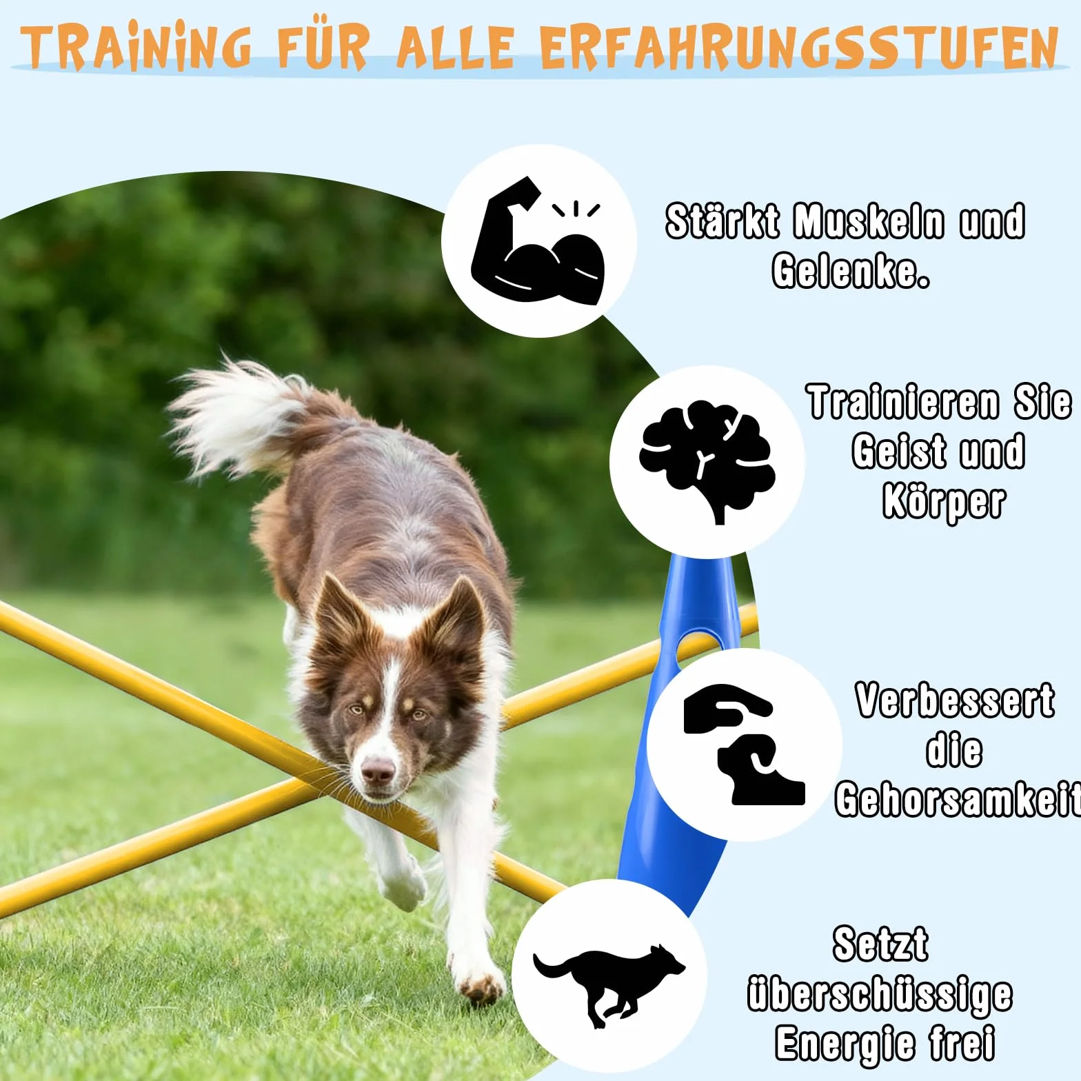 Cavaletti réglables pour chien - Kit de barrière d'agilité - Hauteur 23 cm - 8 barres 80 cm