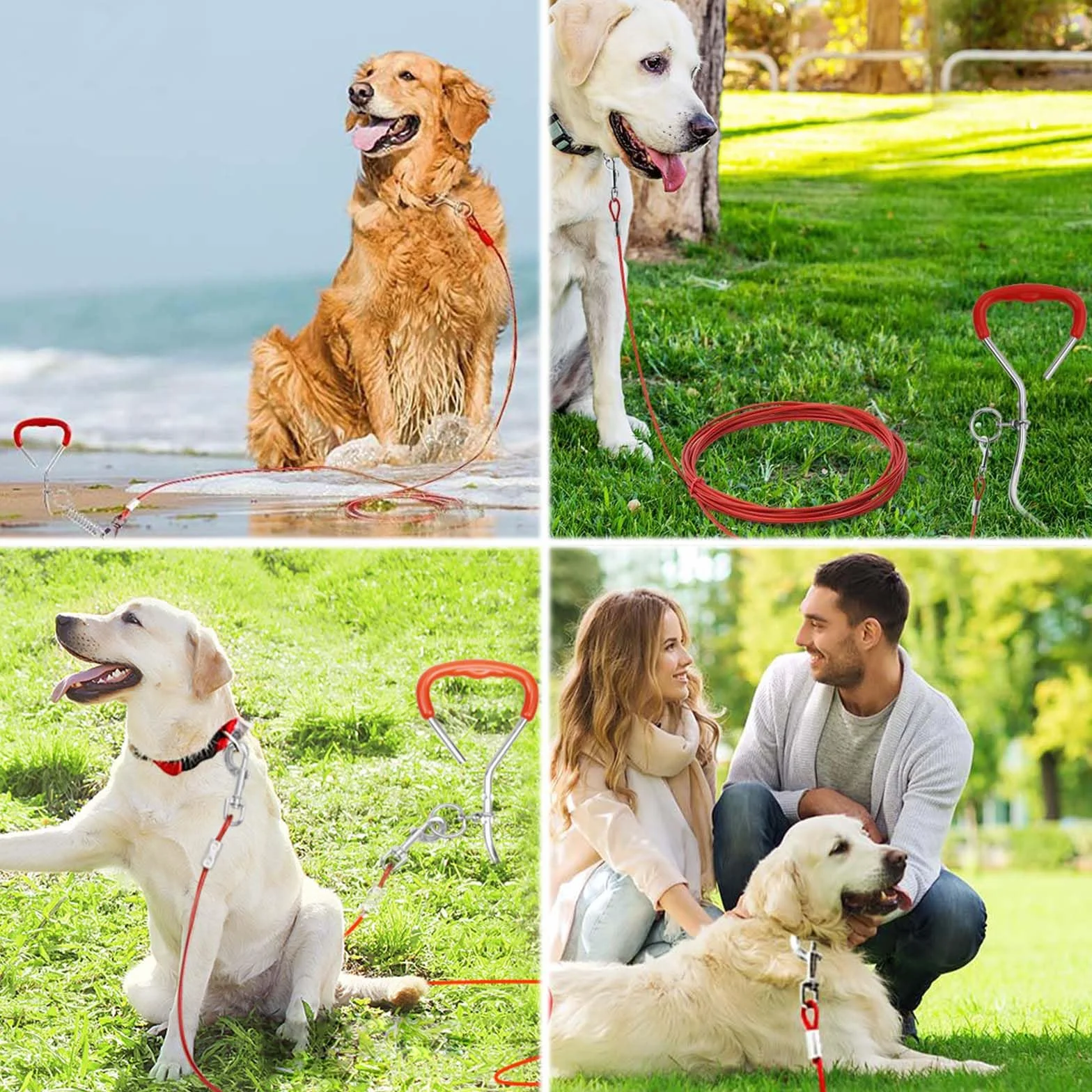 9 mm*40 cm,Ancrage au sol pour chiens, Piquet d'amarrage pour chiens de camping,Ancrage au sol pour chiens de taille moyenne, avec laisse de 5M, ancre de camping, pelouse, ancre pour chien d'extérieur