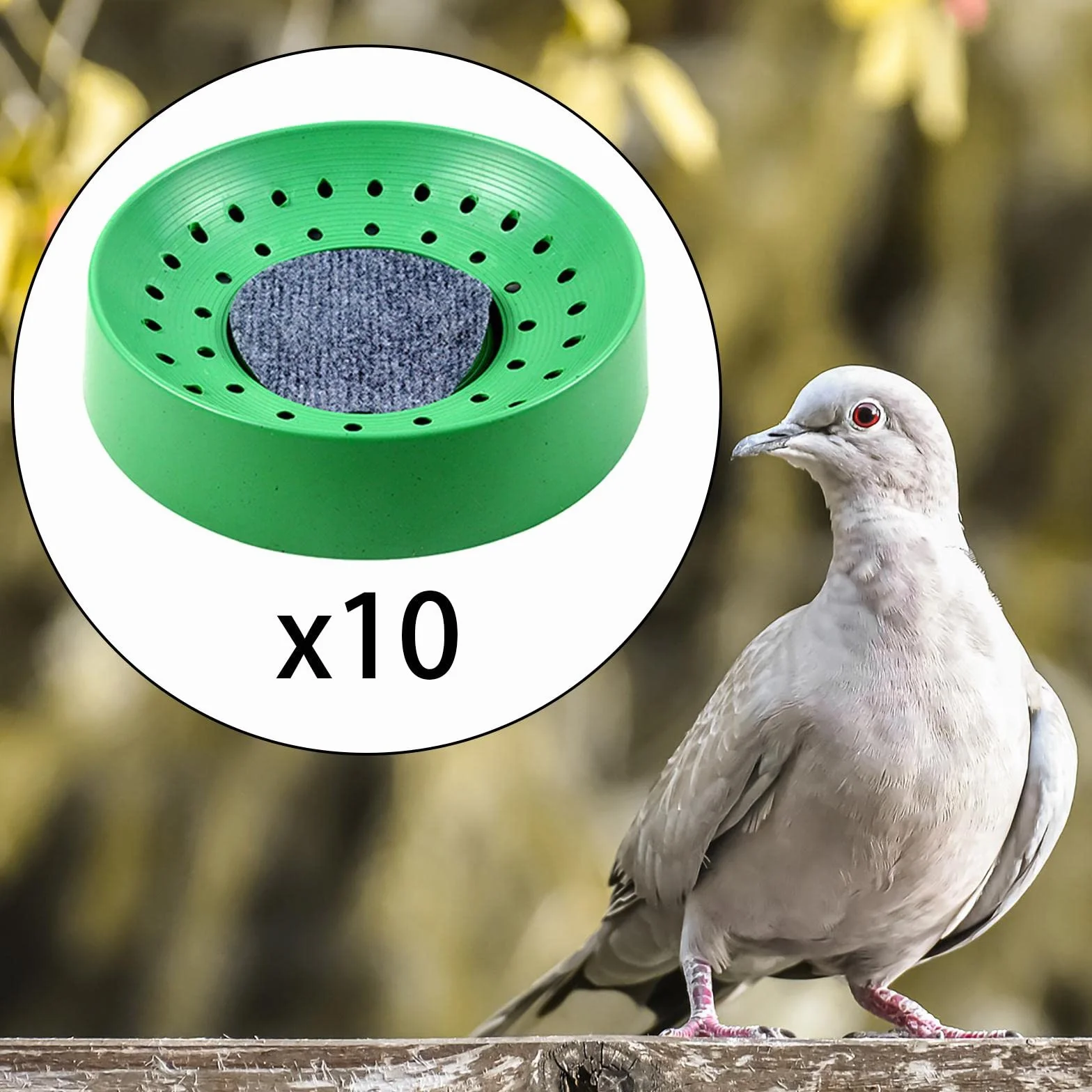 Nid Pigeon Plastique 10 Pièces Fournitures Élevage