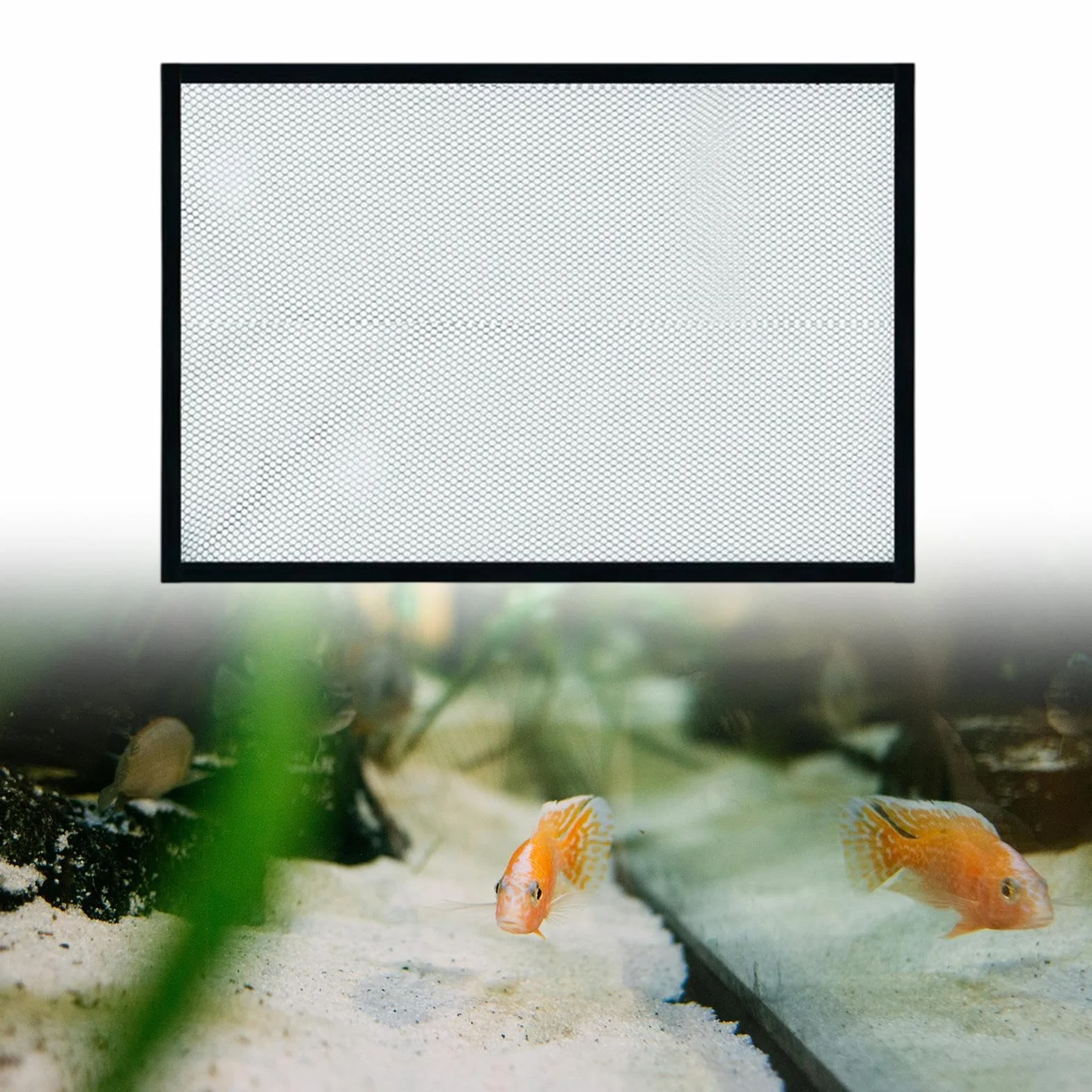 Couvercle supérieur d'écran d'aquarium, Filet Anti-Saut, 60x30cm