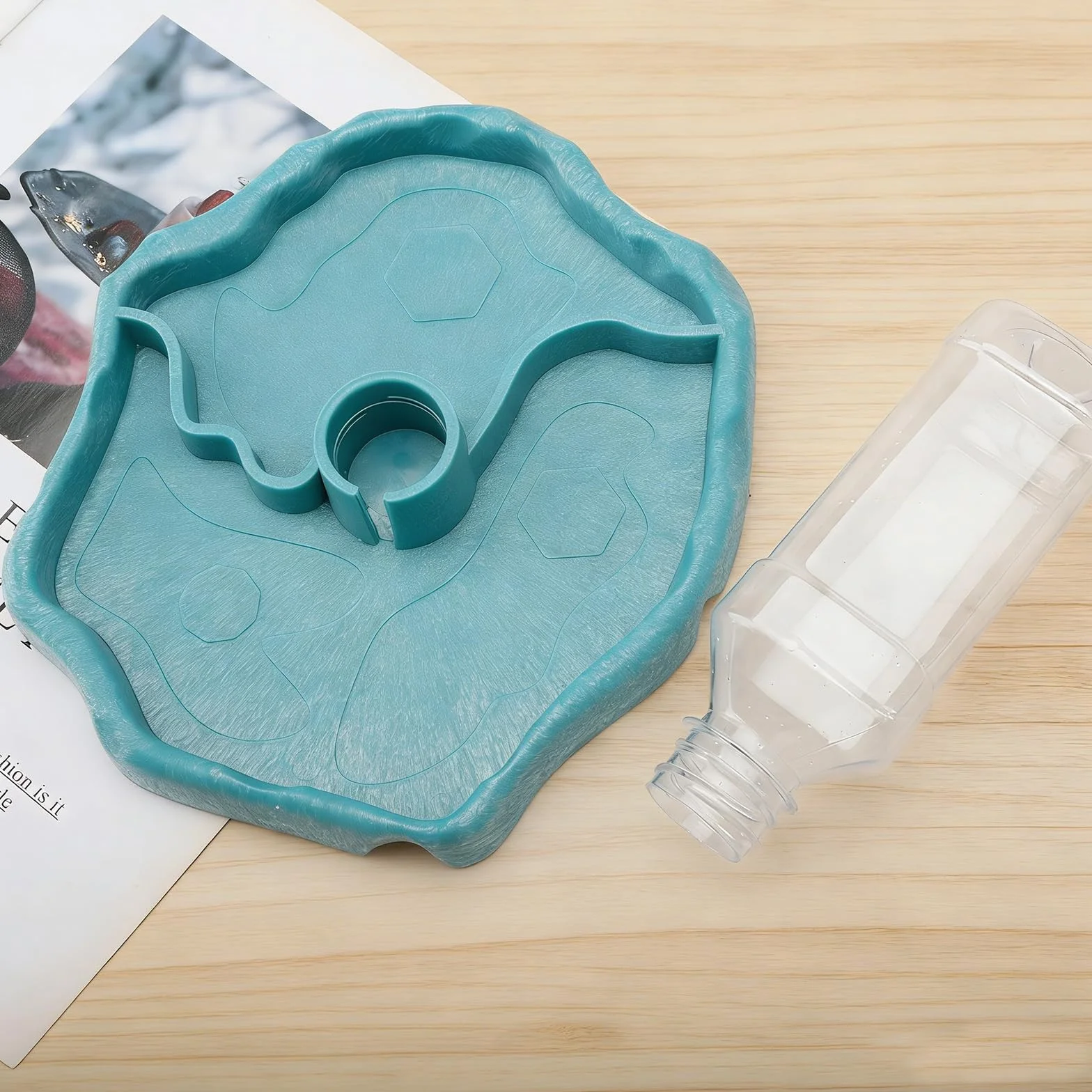 Gamelle 2 en 1 pour Reptiles et Tortues, Distributeur Automatique pour Nourriture et Eau en Plastique Transparent