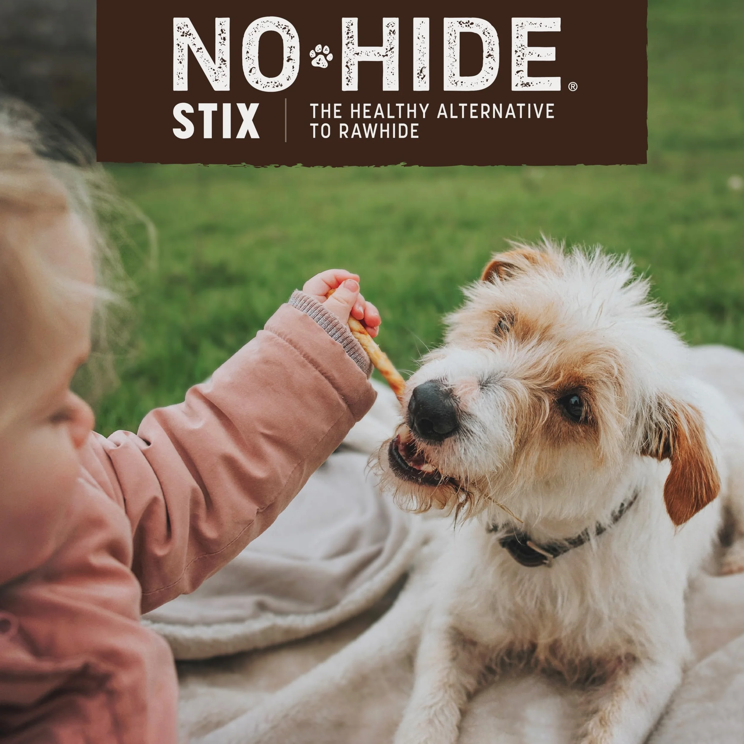 Earth Animal No Hide Chicken Dog Stix Lot de 10 Paquets 45 g