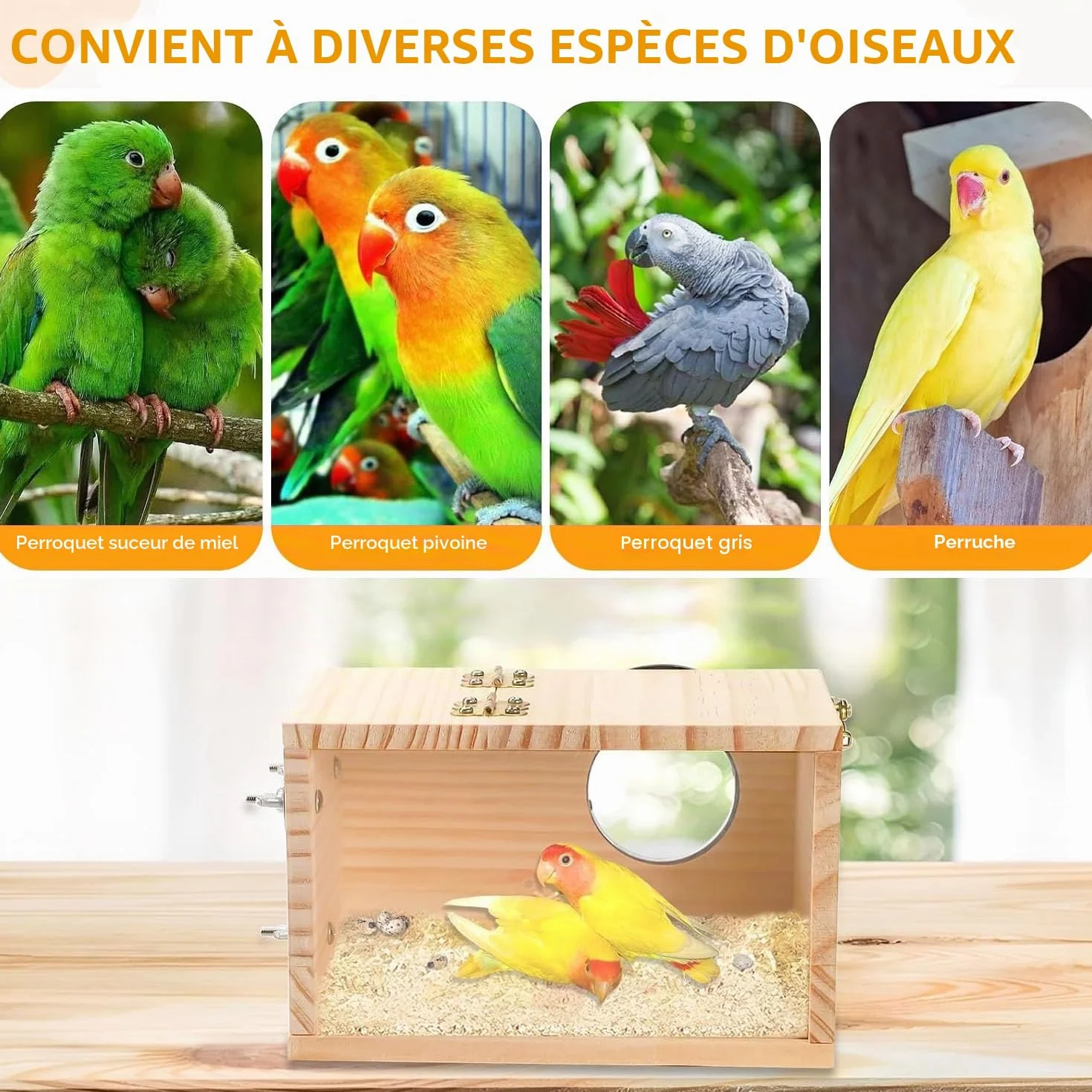 Nichoirs en Bois Naturel pour Perruche avec Jouet Balançoire Échelle 19.5x12x12 cm