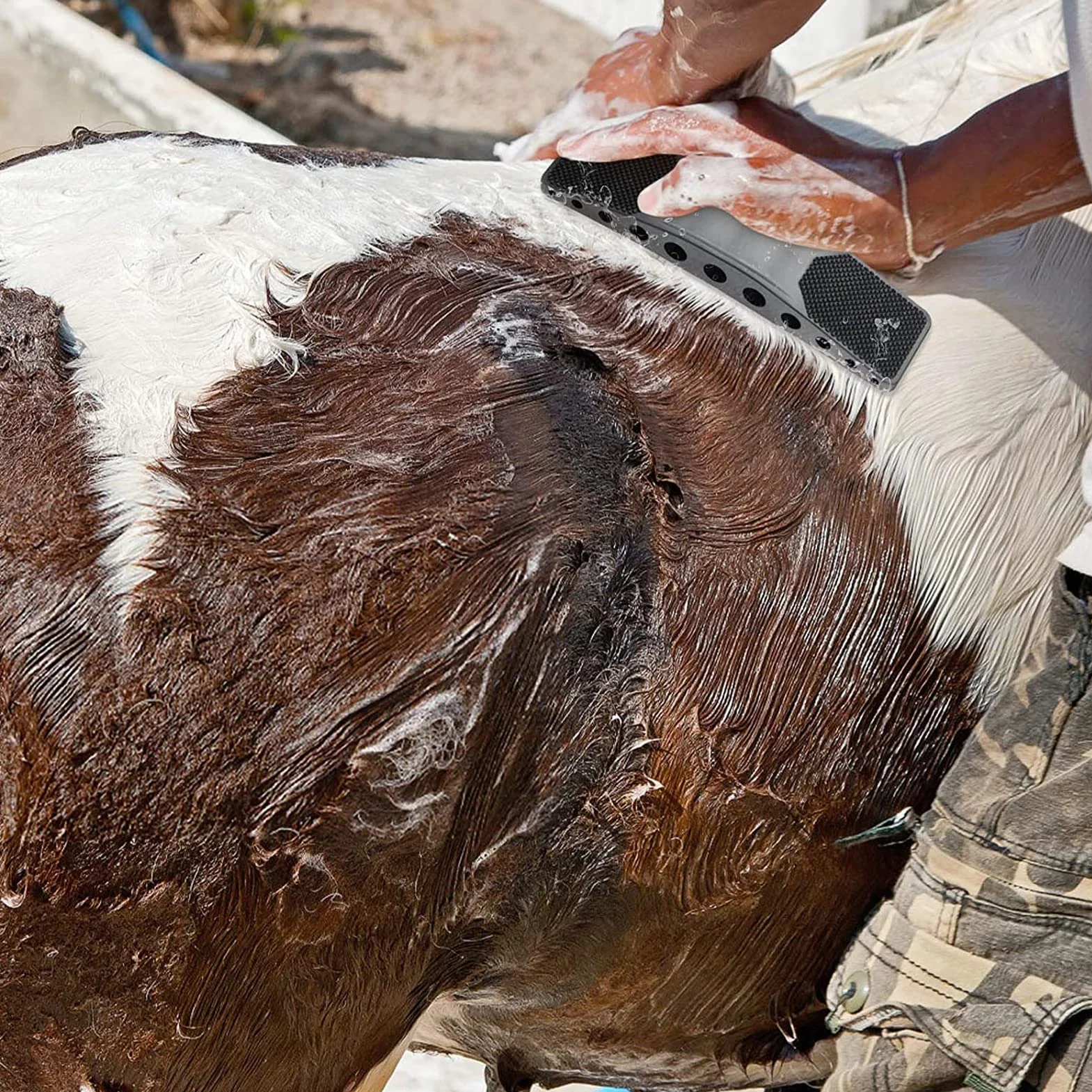 Brosse de Toilettage pour Chevaux 6-en-1 en Crin de Cheval pour Enlever les Poils Secs
