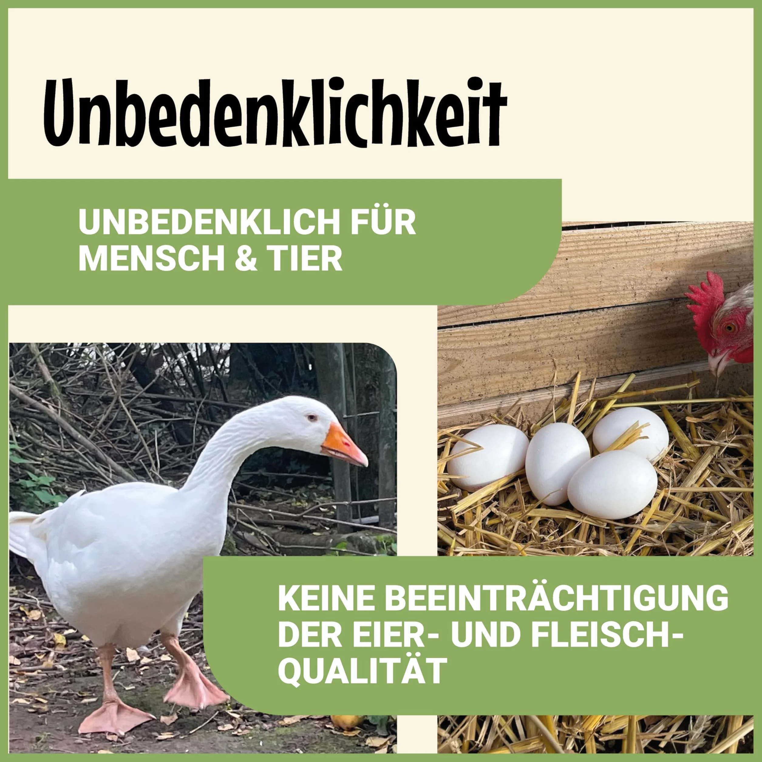 Poudre de terre de diatomée 2,2 kg pour poules et volailles – produit naturel d’entretien