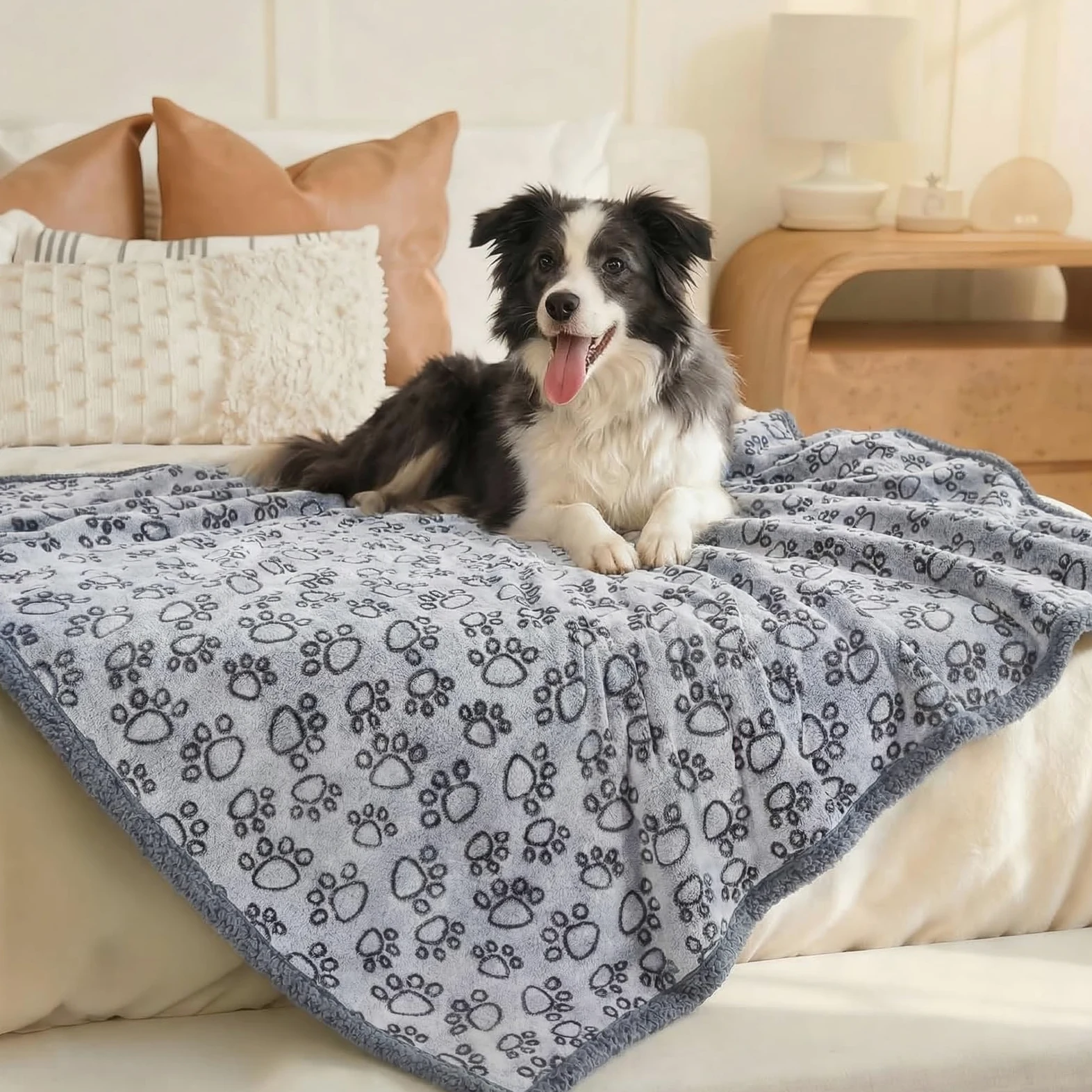 Luciphia Couverture imperméable pour animal de compagnie – Couverture anti-pipi liquide pour chien et canapé – Housse de protection réversible en polaire Sherpa pour chiens et chats de taille moyenne