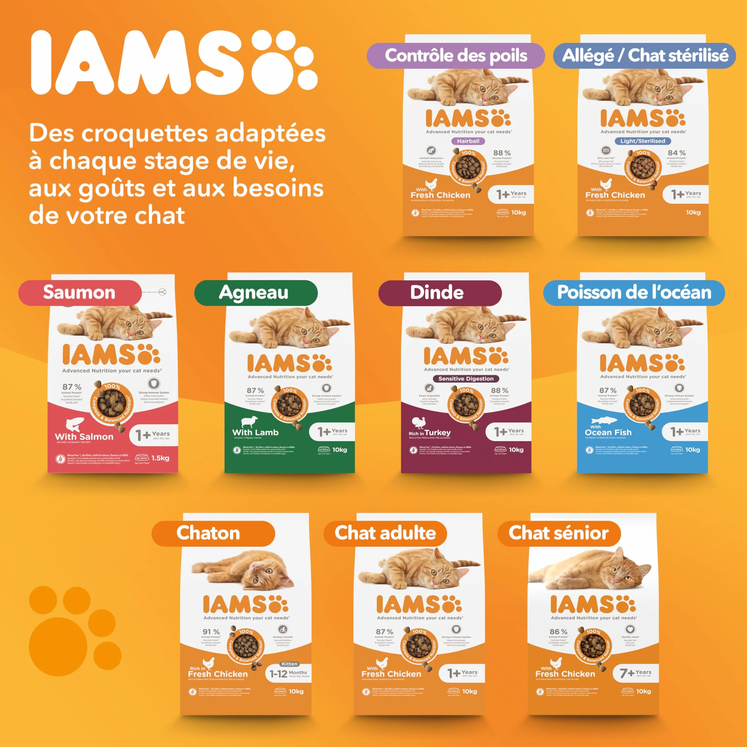 IAMS Advanced Nutrition Chat Adulte Digestion Sensible Alimentation sèche à la Dinde 10kg