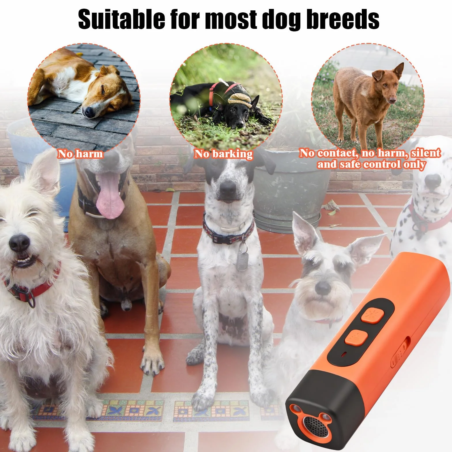 Anti Aboiement Chien Ultrason Puissant avec Lampe LED 3 Fréquences Réglables pour Petit et Grand Chien