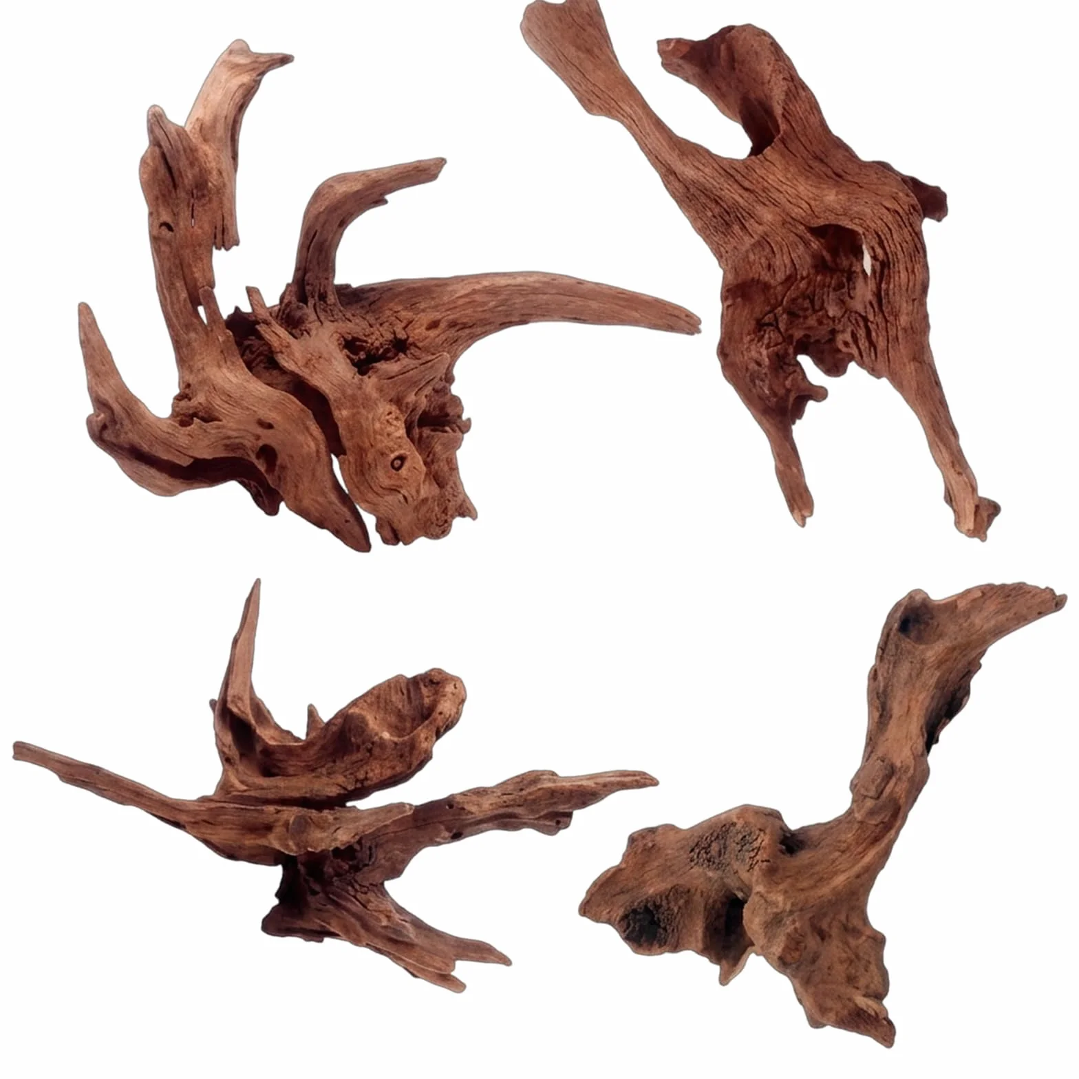 Bois Flotté pour Aquarium 4 Pièces Racine Naturelle Décoration Paysage Aquatique 5-10CM 10-15CM