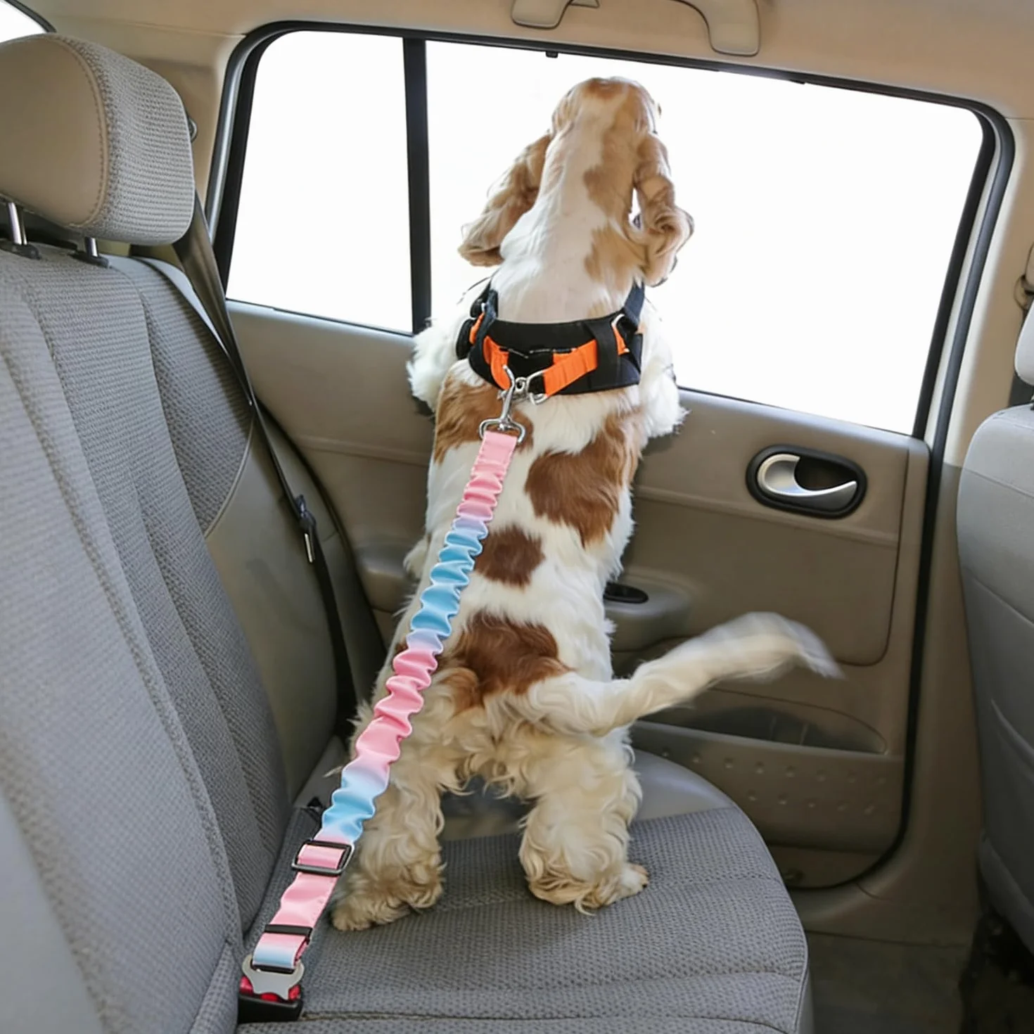 Réglable Ceinture Securite Chien Voiture - 1 Pièce, Bleu Rose Dégradé, Elastique Attache Chiens Voitures, Adaptée à Tous Les Types d'animaux et de Modèles de Véhicules