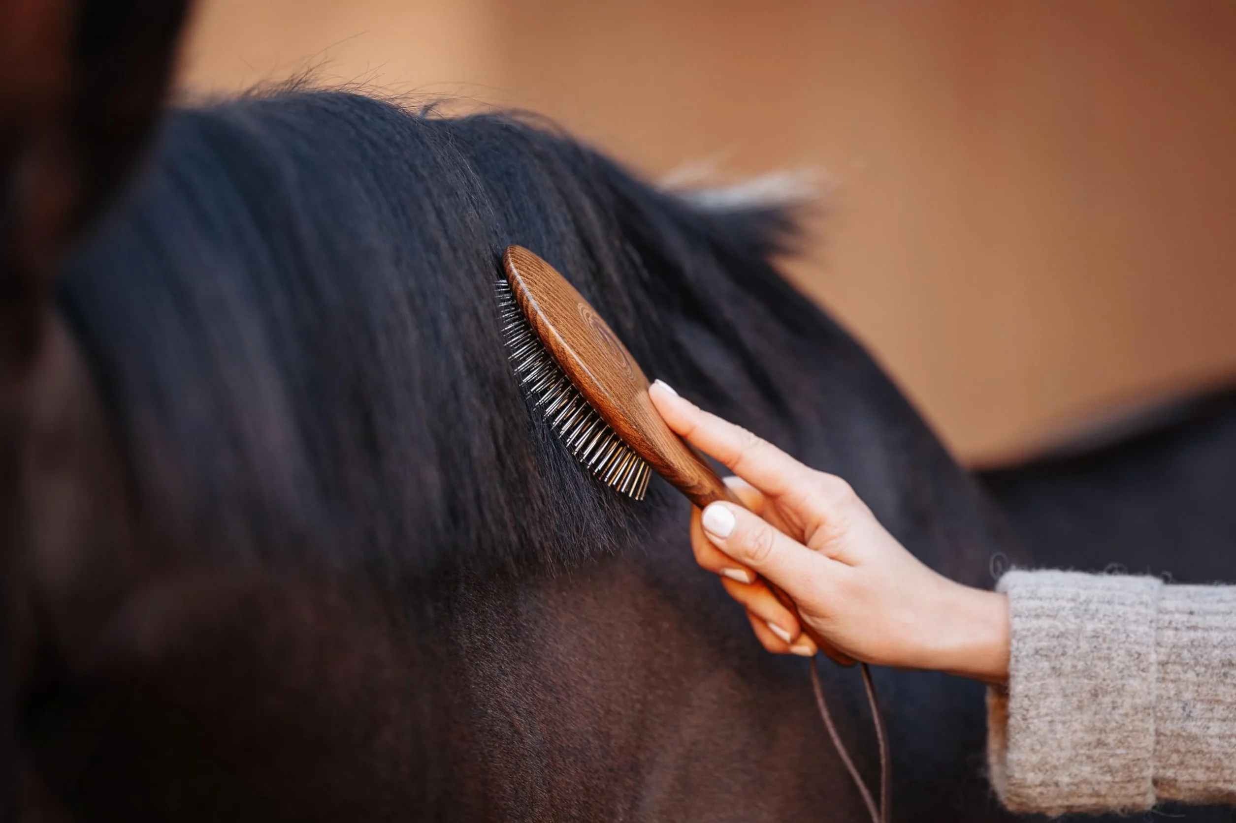Brosse crinière et peigne queue Equimour pour cheval en bois et métal ergonomique démêler lisser soigner toilettage