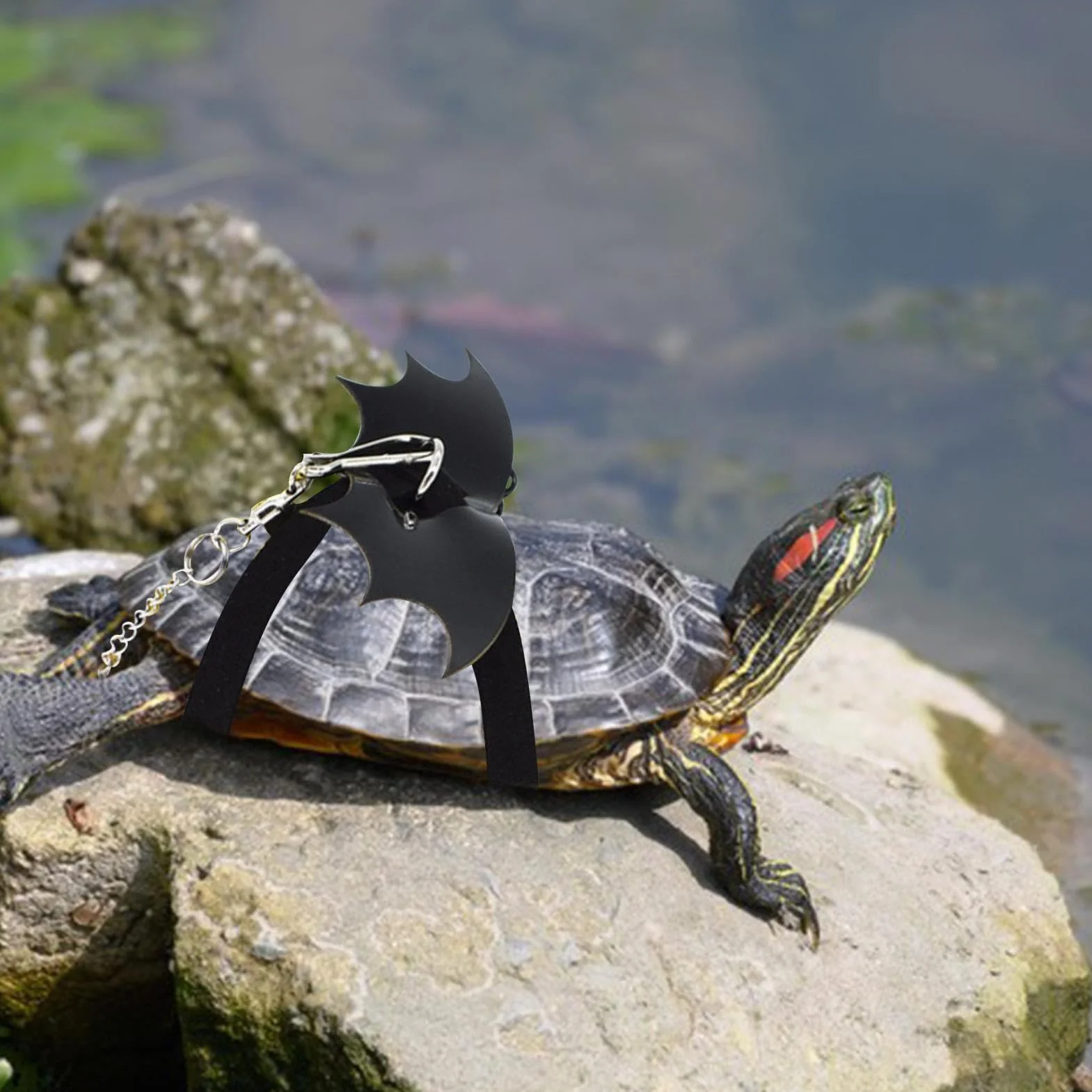 Harnais Tortue avec Aile Sangle Lézard Traction Cor Petit Animal Gilet Style pour Extérieur