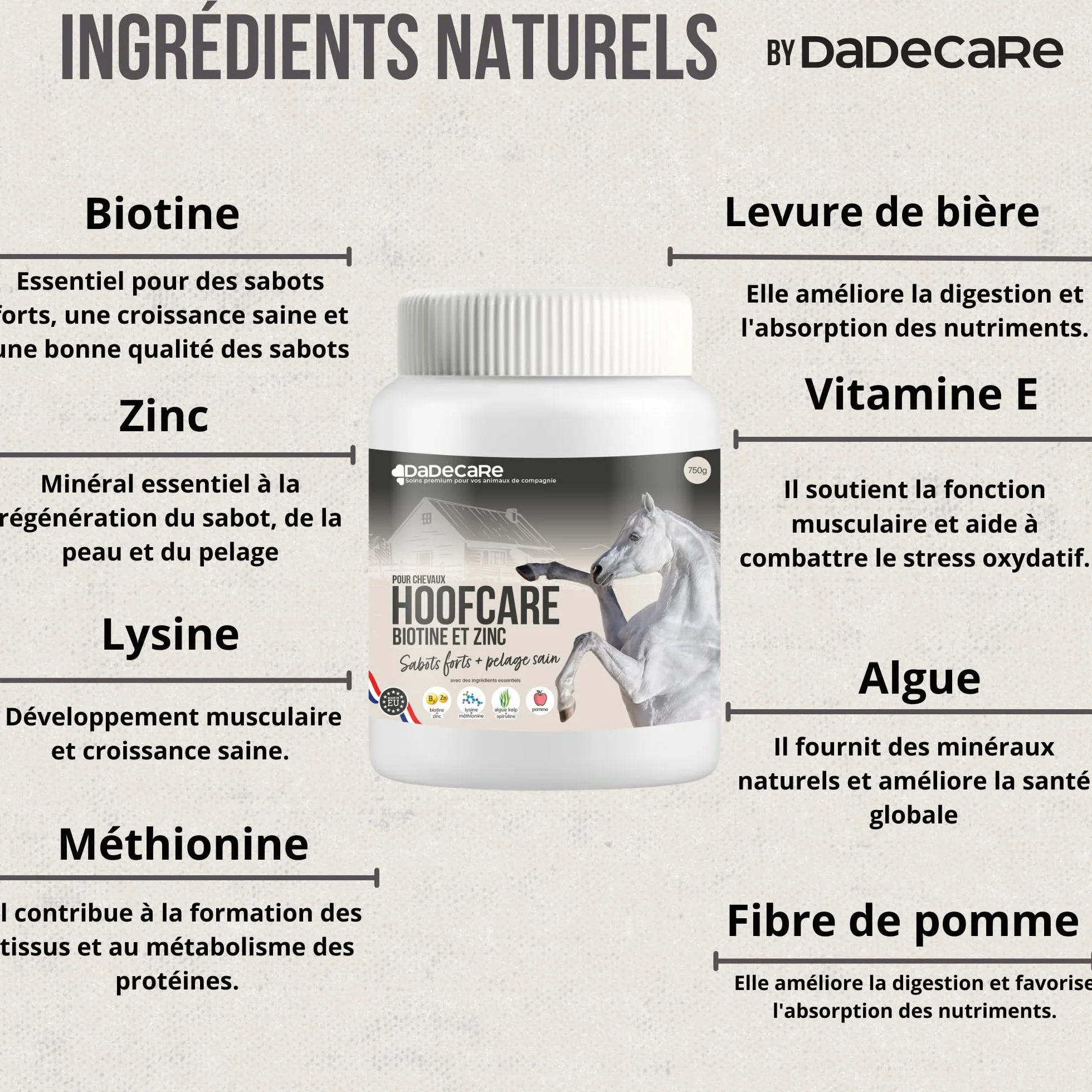 Hoofcare Biotine et zinc pour casques de cheval 750 g – Sabots forts et croissance naturelle – Idéal pour les casques fragiles, le changement de pelage et les chevaux sportifs – Soins sabots et peaux