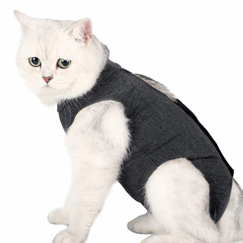 Costume de récupération Anti-léchage pour Chat Plaies Abdominales Doux Vêtement Animaux Collier E Après Chirurgie