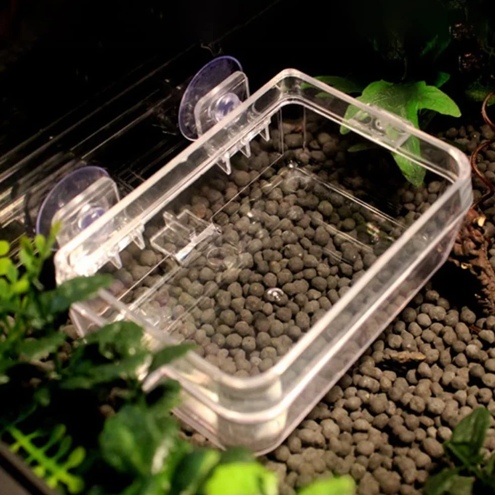 DONGKER Bol Caméléon Mangeoire d'alimentation en Eau pour Reptiles avec Ventouse