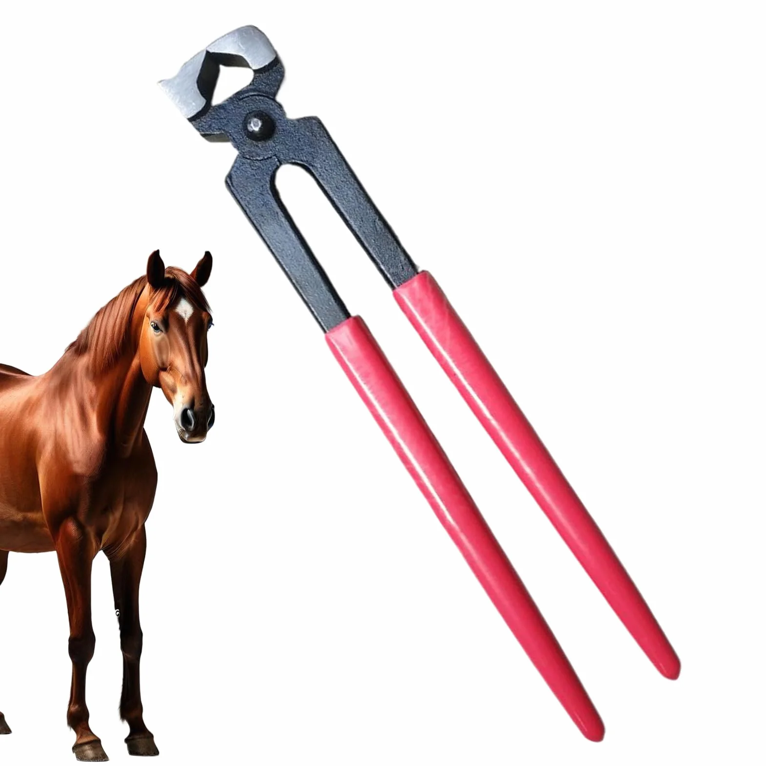 Pinces À Sabot De Cheval, Pince de Maréchal-Ferrant, Pinces à Parer Chevaux Réparation Fer Pince à Tordre Matériel pour Sabots Vache Mouton Ferme Animaux