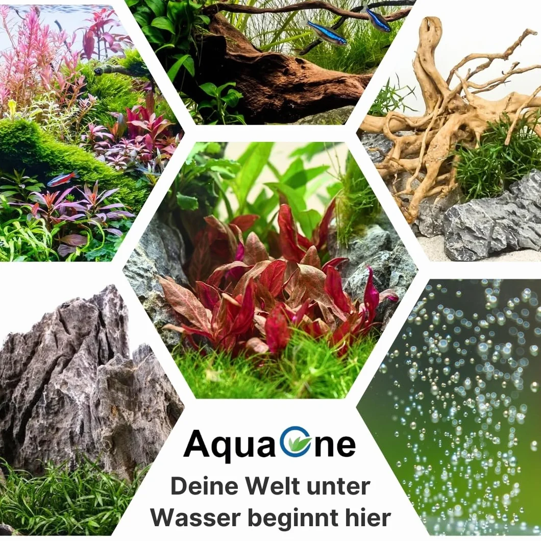 Quartz Gravier 25 kg 2–3 mm fond d'aquarium Sable
