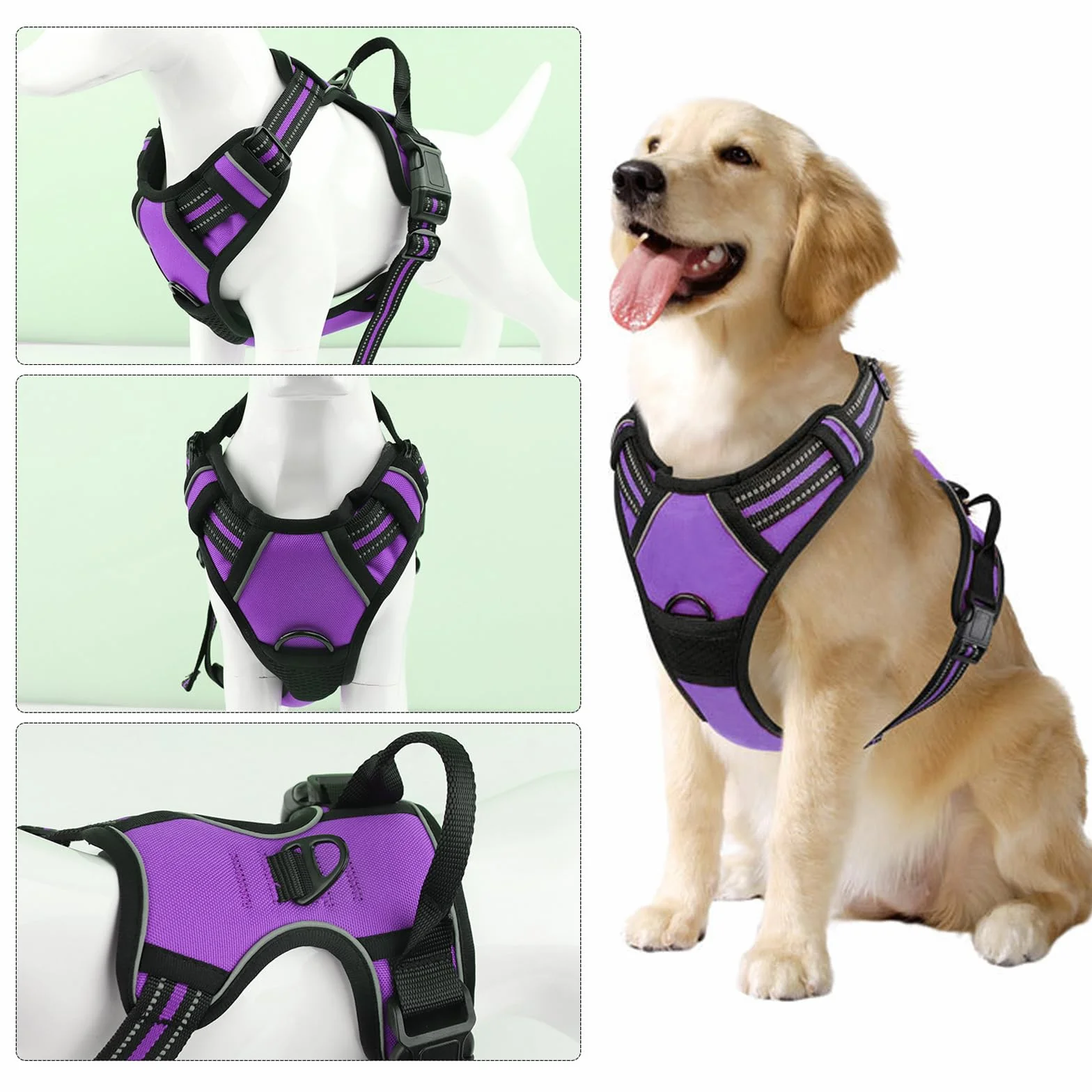 Harnais Chien No Pull Anti Traction, Violet M