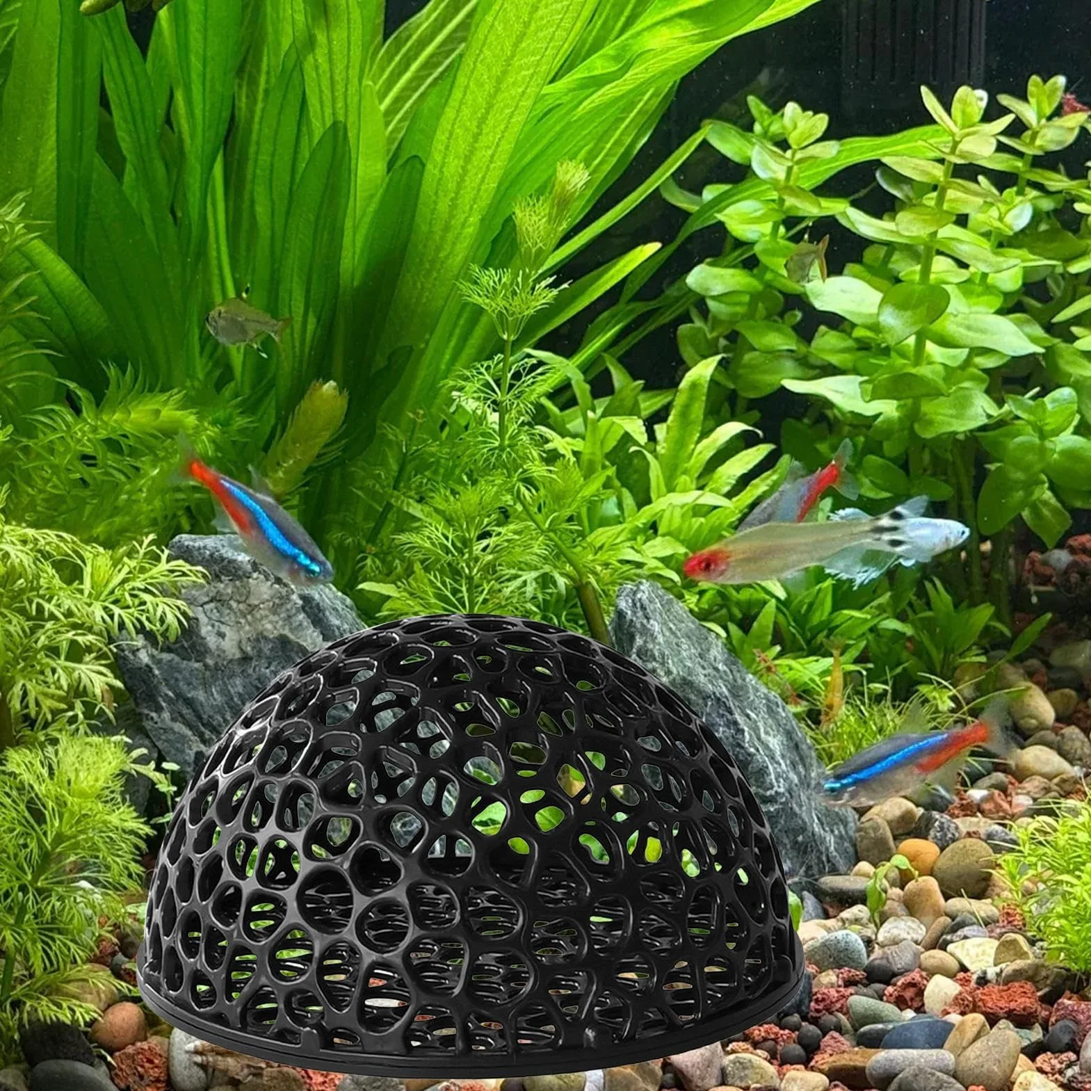 Grotte d'aquarium en résine naturelle aspect roche, abri durable pour poissons, décoration d'aquarium creux, cabane d'élevage | grotte de repos immergée pour crevettes, tortues, betta, cachette de