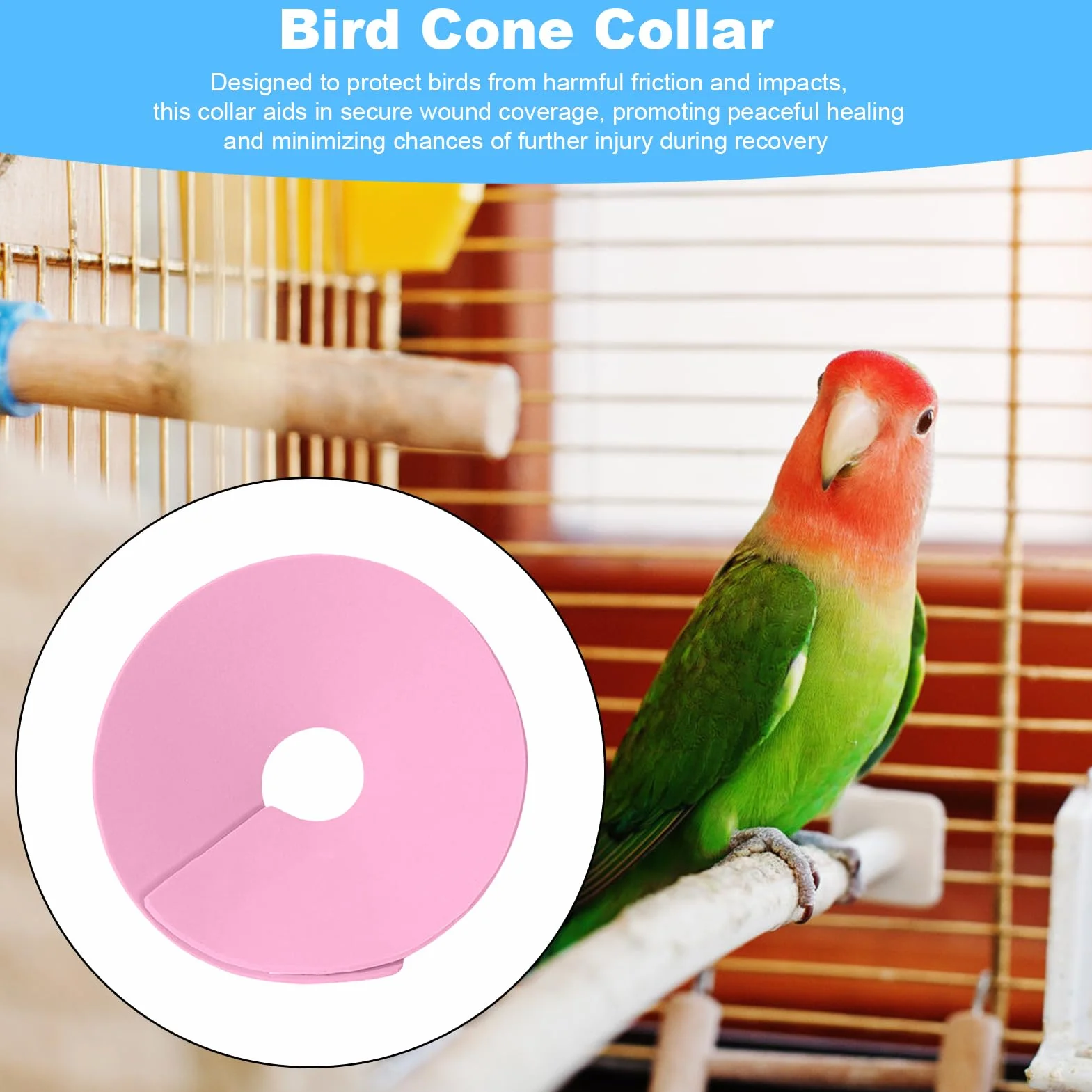 Collier de protection pour hamster - Collier de protection pour perruche - Collier anti-morsure pour petits animaux - Prévention de la chute des poils - Pour chat, furet, perruche, souris