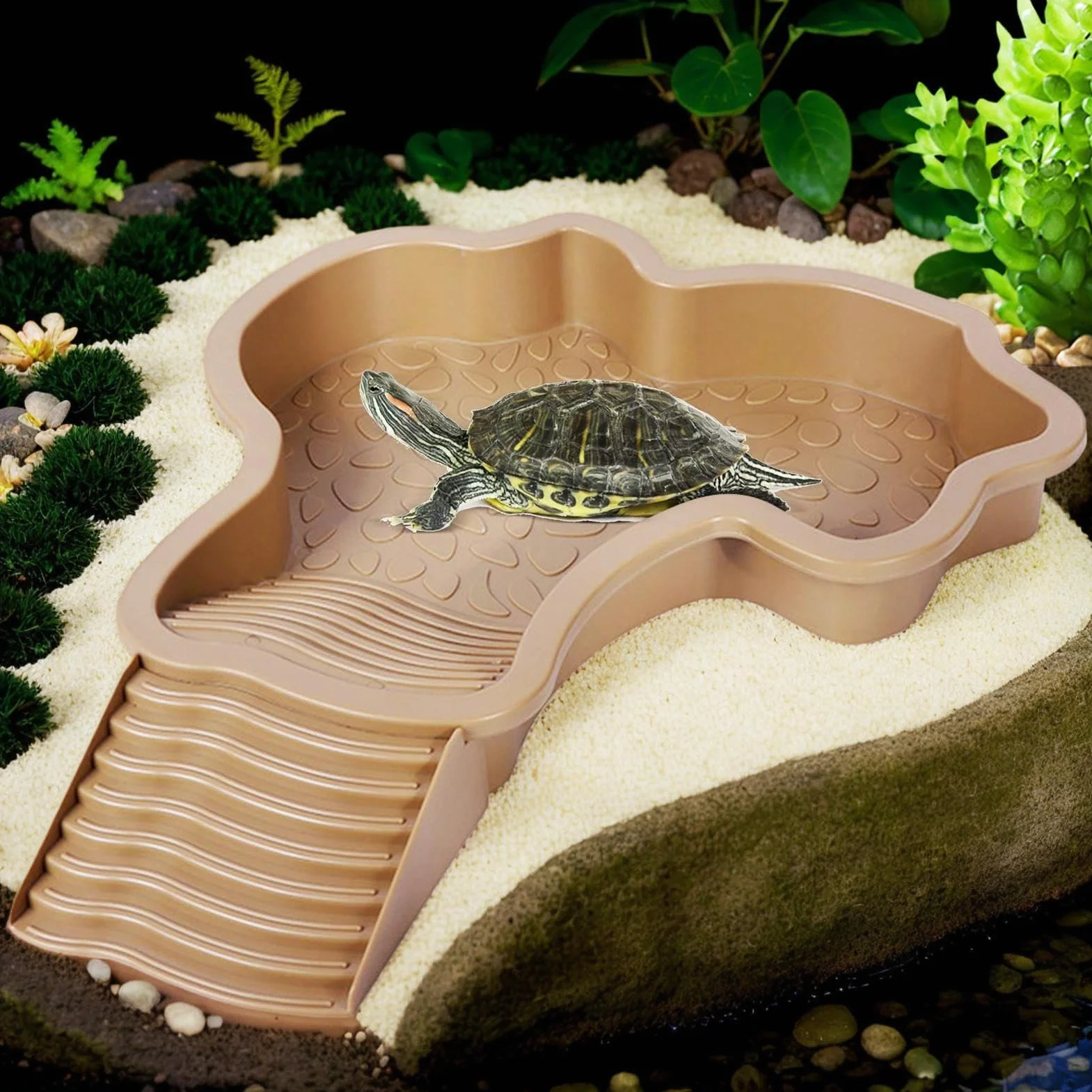Mangeoire Tortue Piscine 35x28,5x4,3 cm Baignoire Reptiles Bassin de Bain