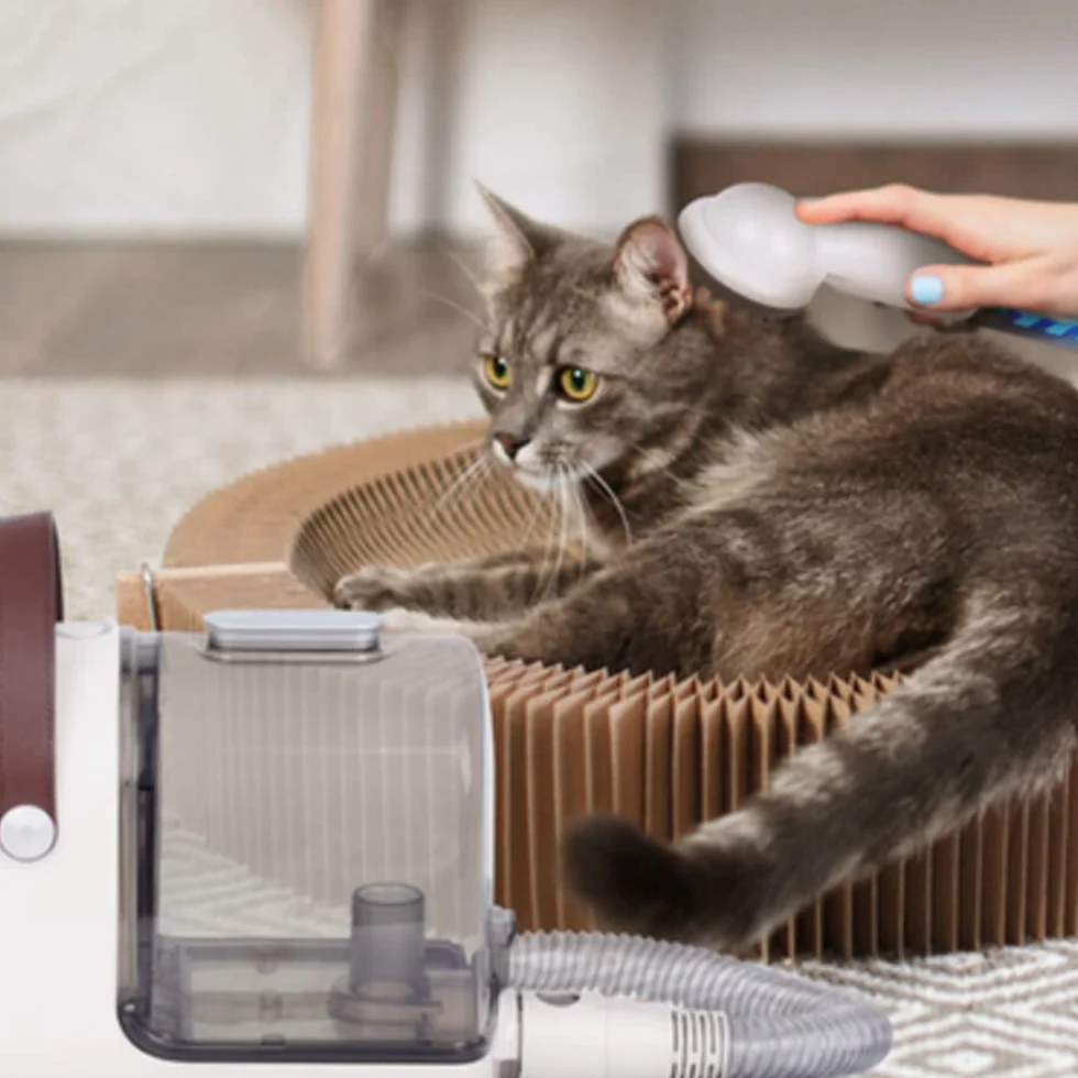 Eziclean Animal Groomy 6 Station de toilettage
