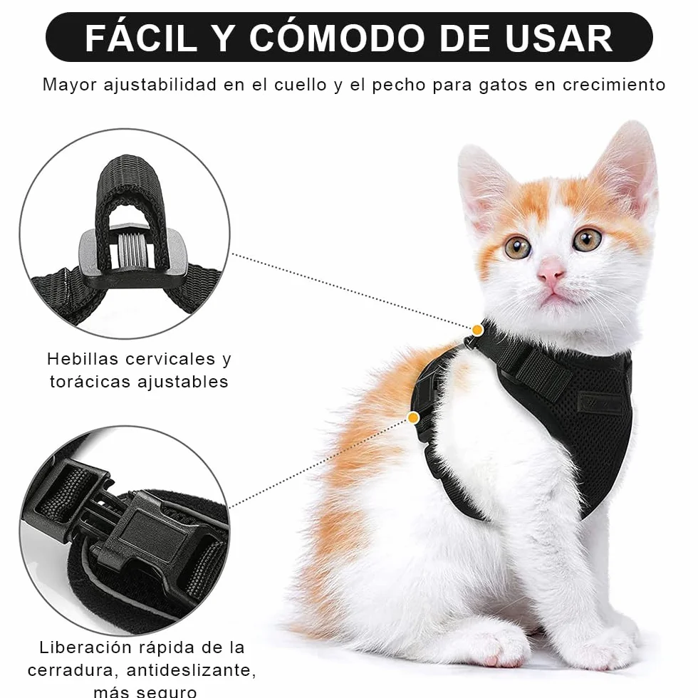 Harnais pour Chat Réglable avec Laisse 150 cm - Sécurité pour Chats Adultes et Chiots