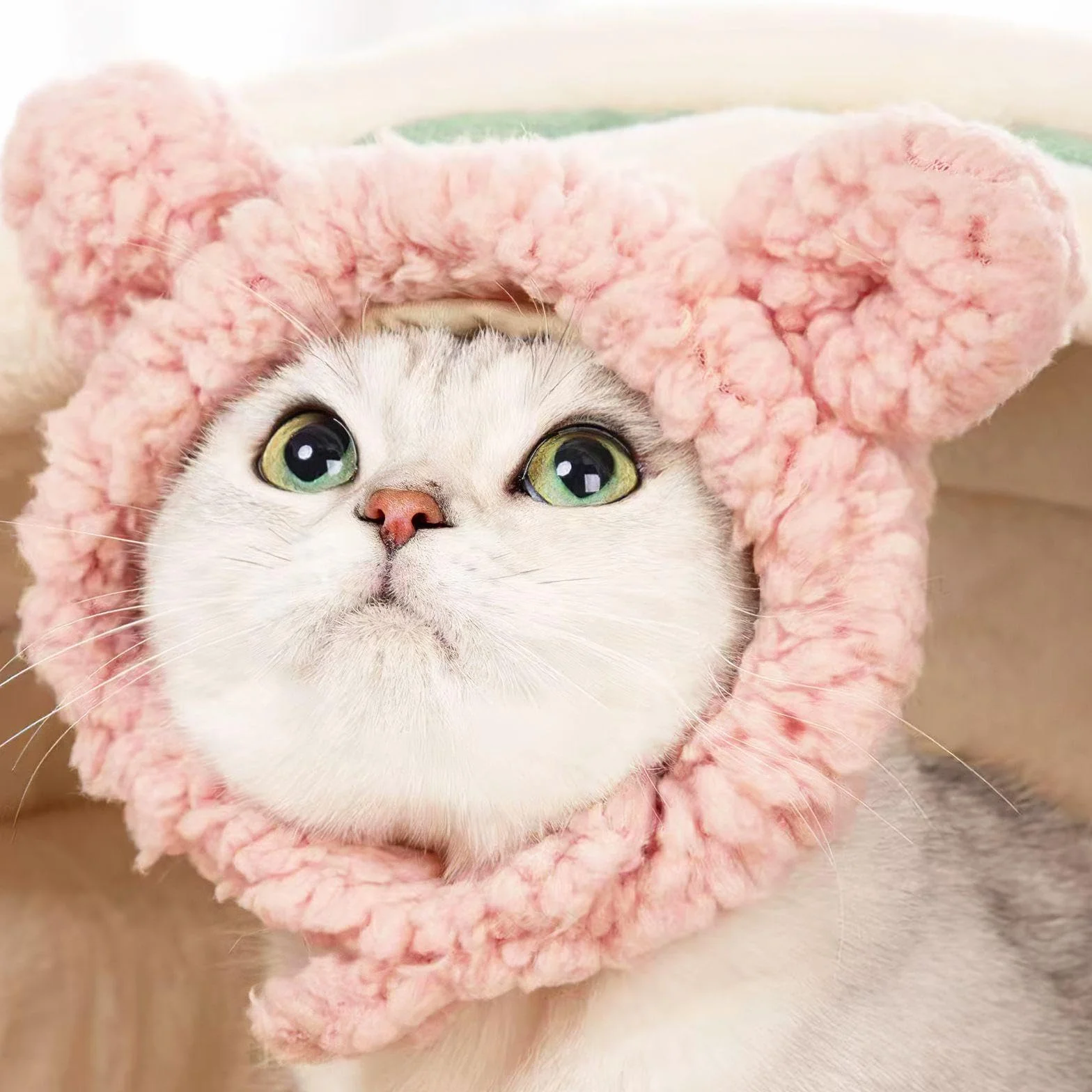 Chapeaux De Chat En Forme D'Ours 2 Pièces, Accessoires De Déguisement Pour Animaux De Compagnie