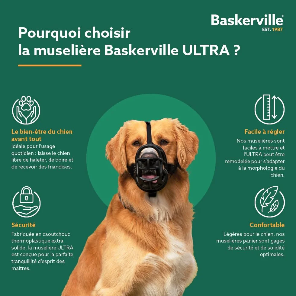 THE COMPANY OF ANIMA Baskerville Ultra Muselière pour Chien Noir 5 Retriever