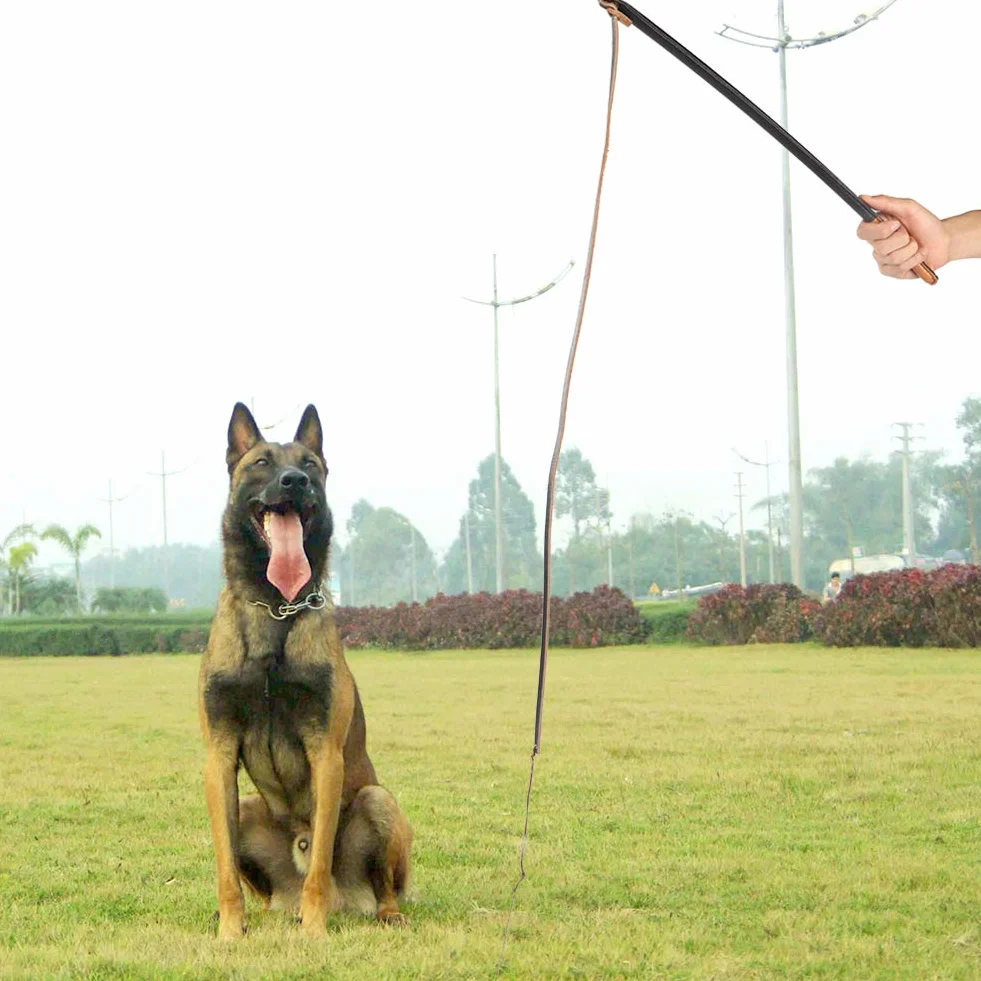 Flirt Pole pour Chiens de Grande Taille, Outils de Dressage
