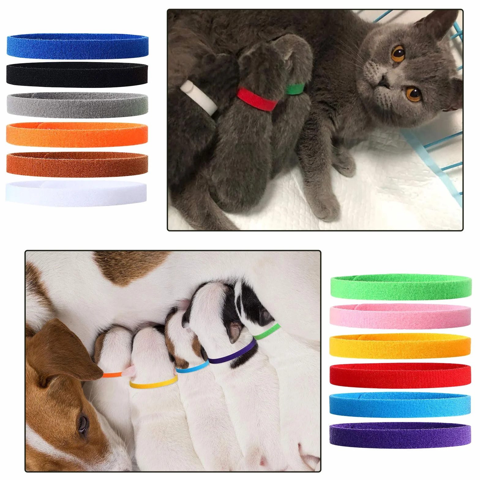 Colliers d'identification pour chiots réglables - Lot de 12 couleurs