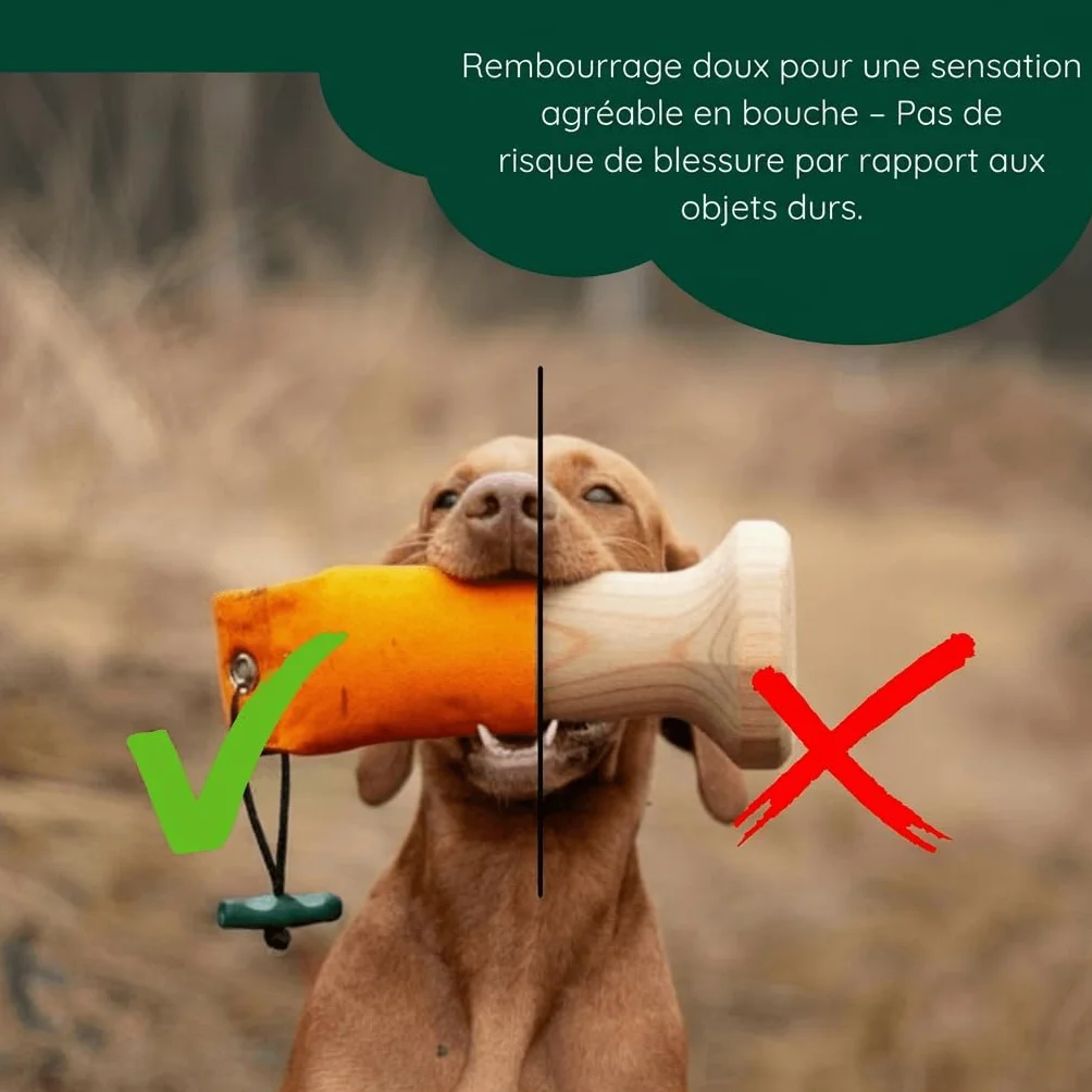 Romneys Lot de 500 g standard pour chien flottant orange