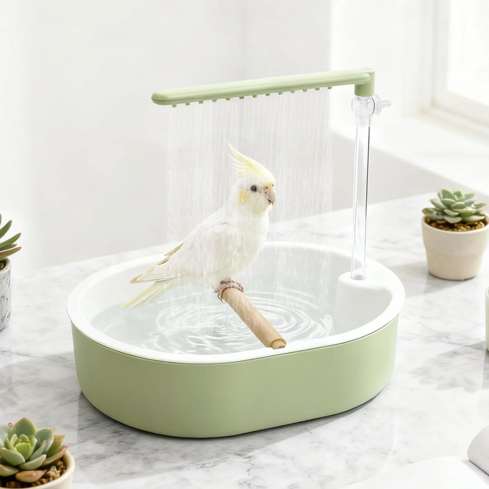 Baignoire automatique pour oiseaux avec débit d'eau réglable, abreuvoir USB 26 sorties