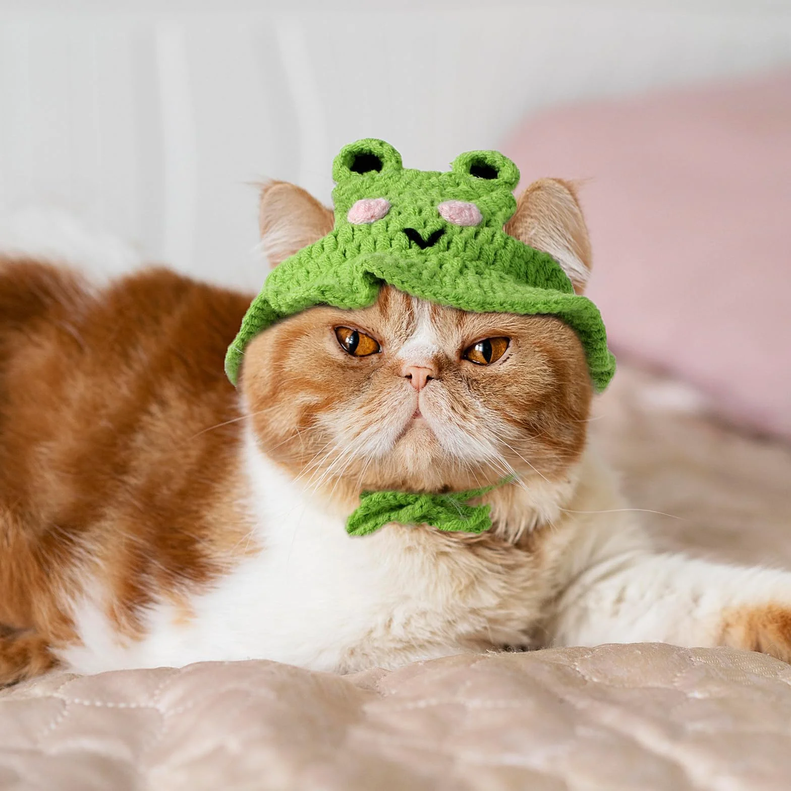 Chapeau d'Halloween en laine pour animal de compagnie - Bonnet tricoté pour chat - Costume de Noël (vert)