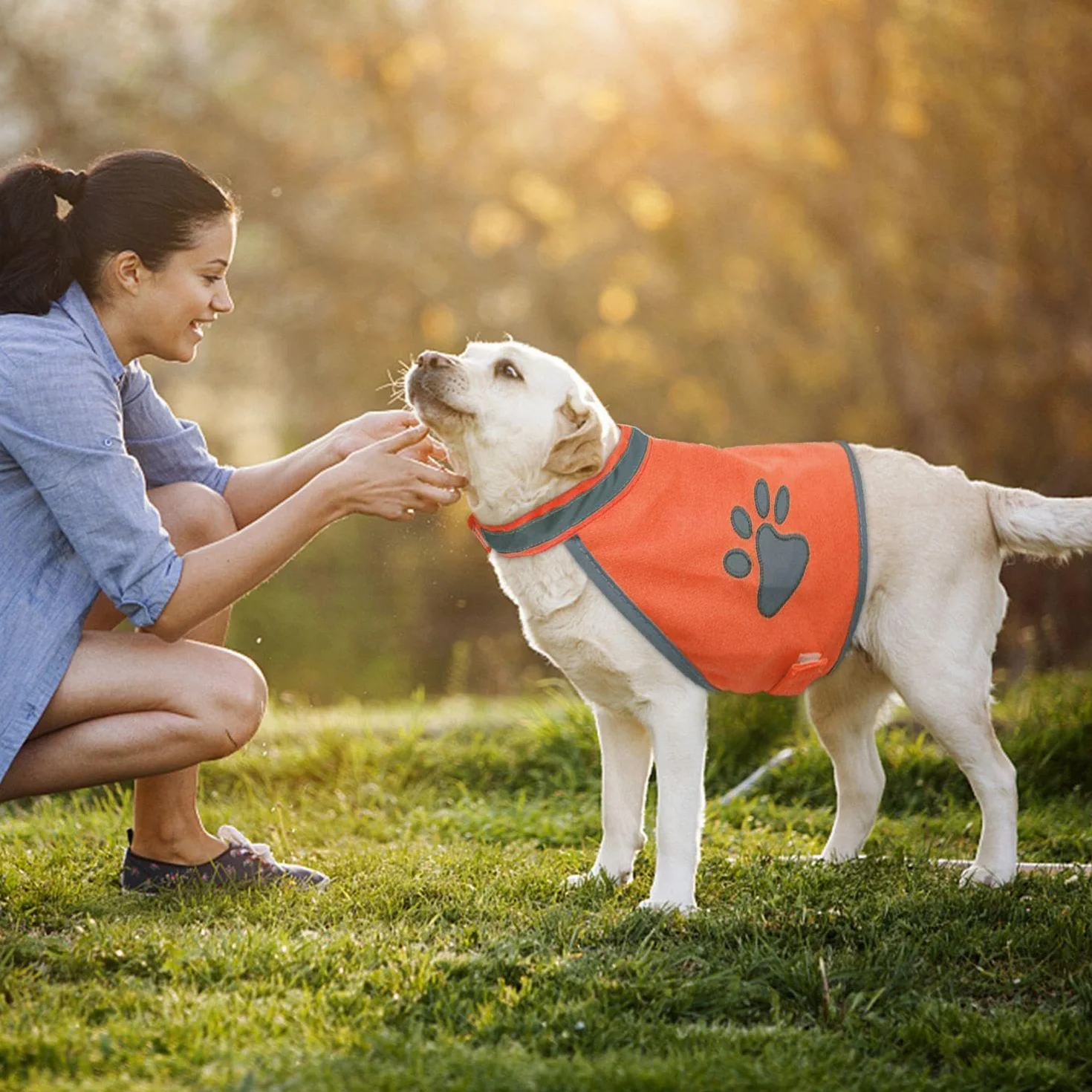 Vêtements Réfléchissants pour Chiens 2 Pièces Gilet de Sécurité de Voyage